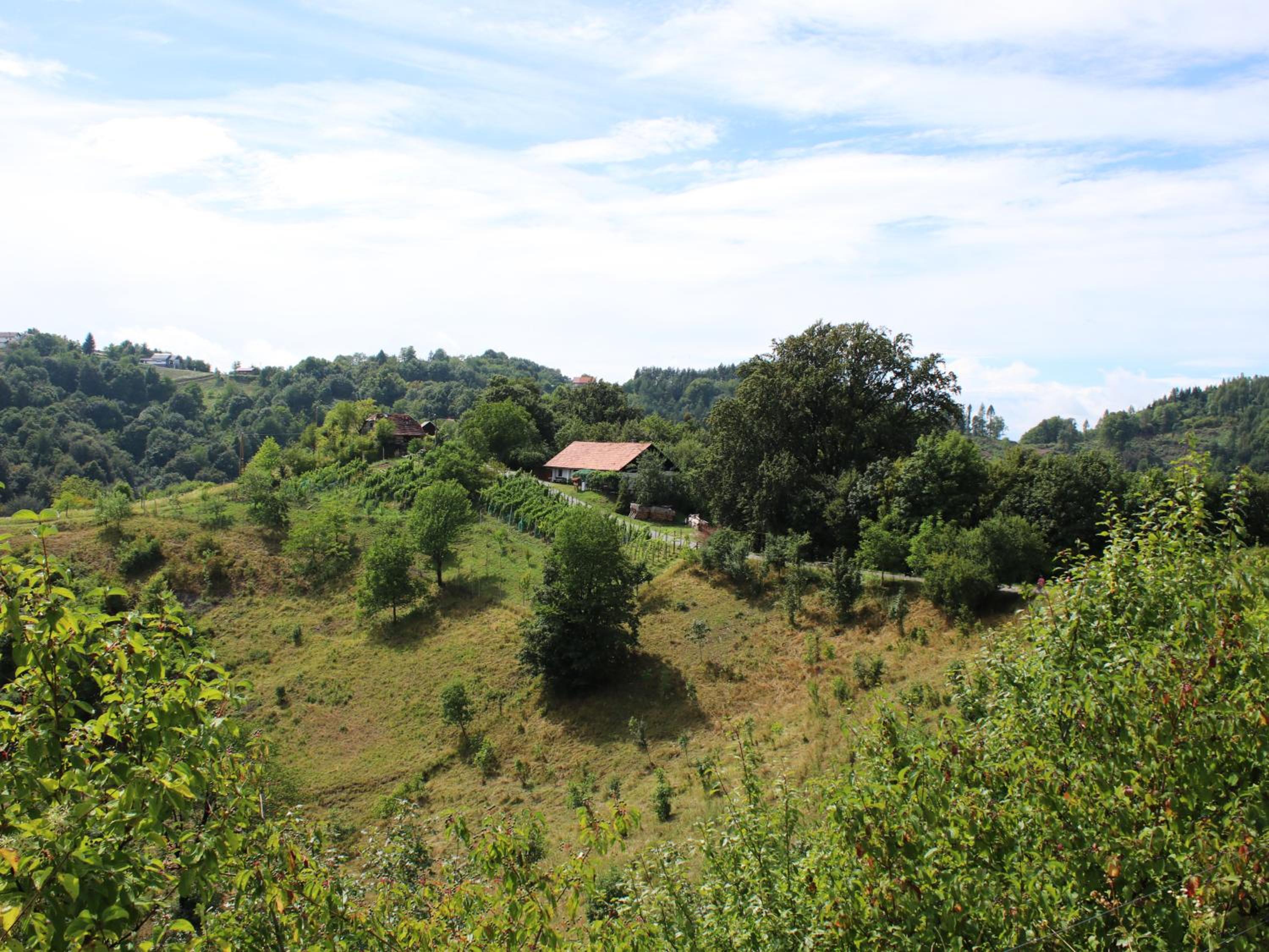 Vineyard cottage Ranč pri Hanzeku