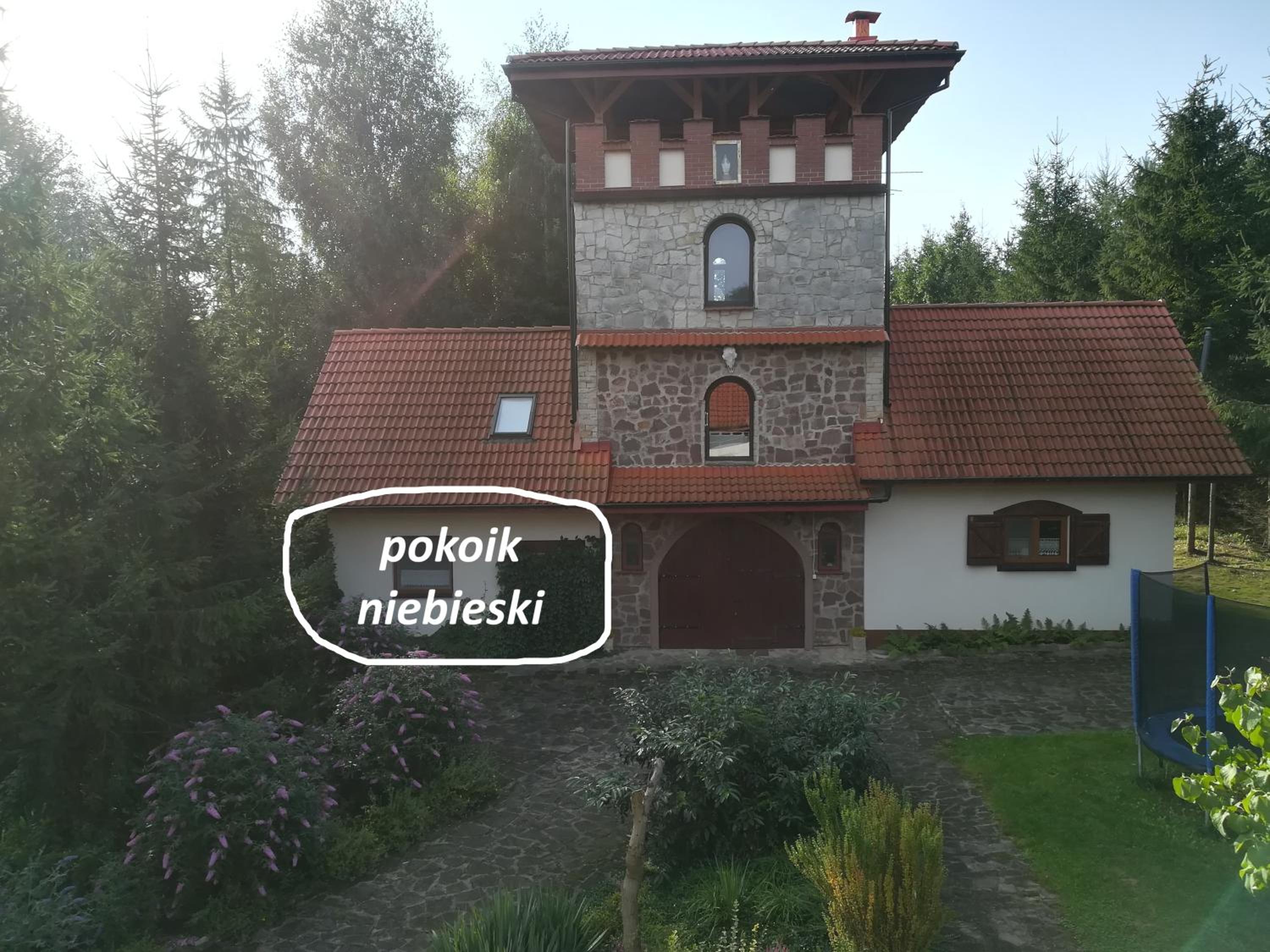 Photo 45