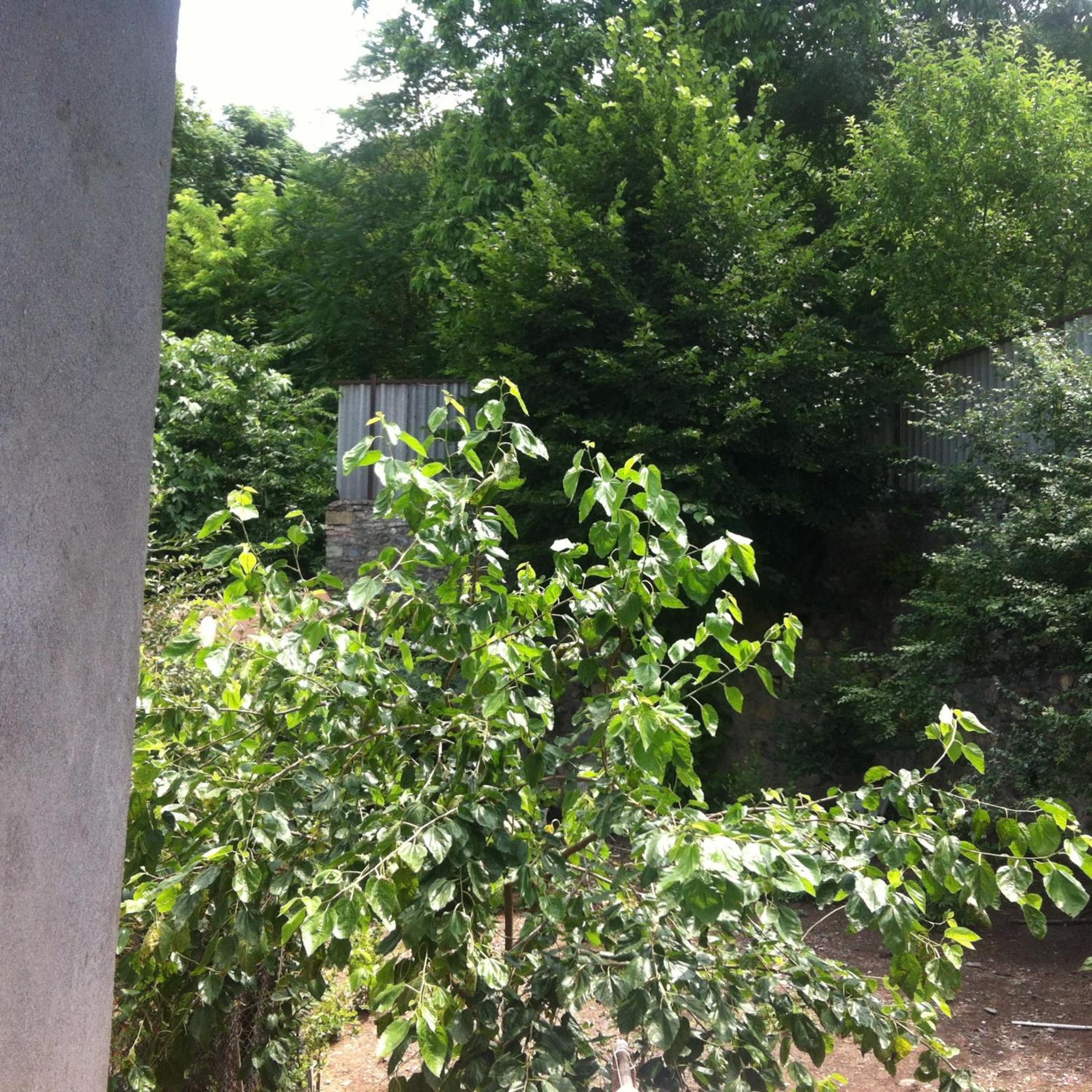 Ilgar's Guesthouse