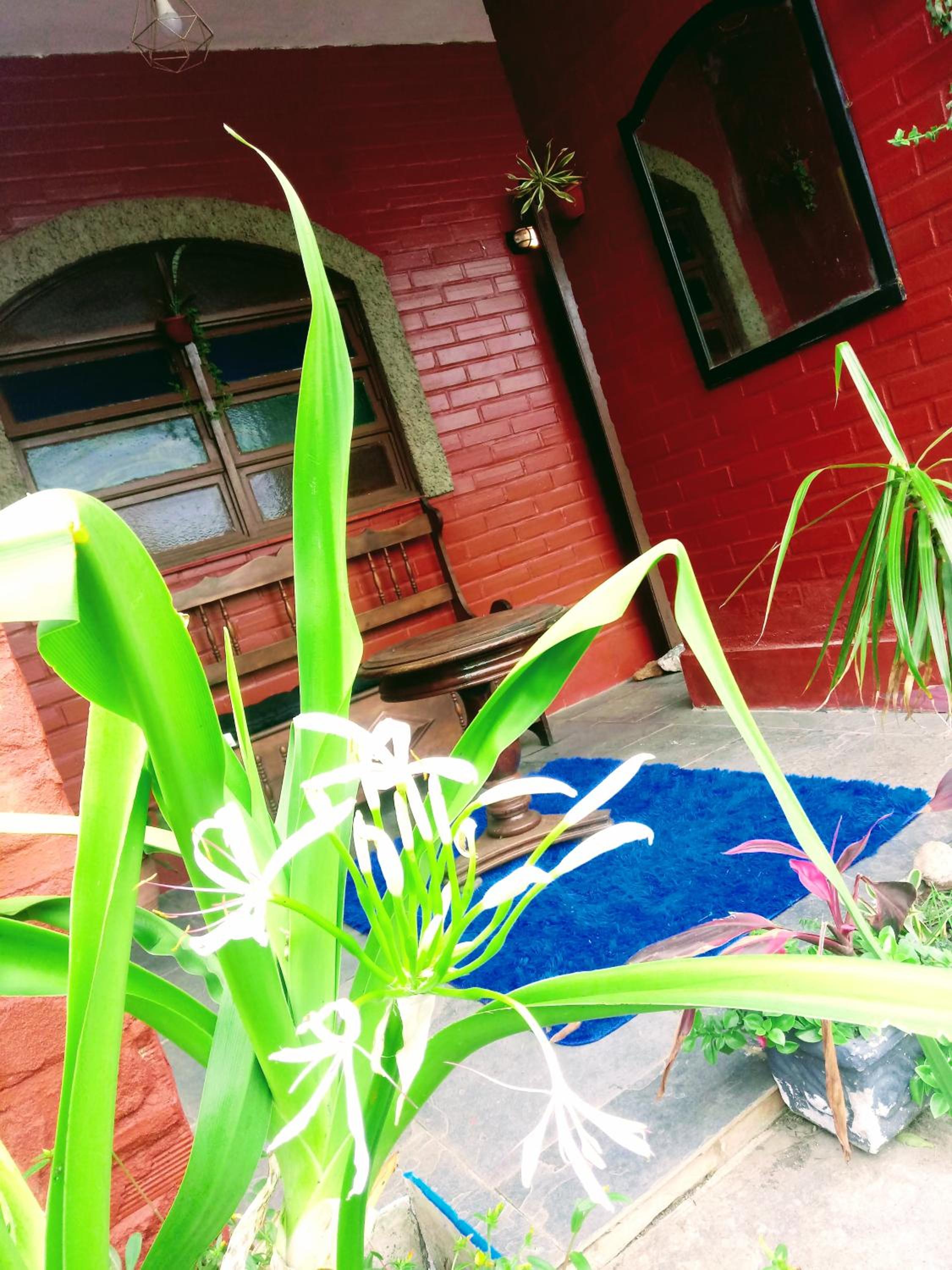 Casa Aloha Barra