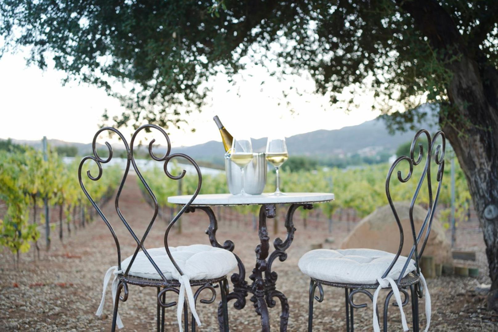Villa on 5 Acre Vineyard Equestrian Estate, Pool & Hot tub, Events
