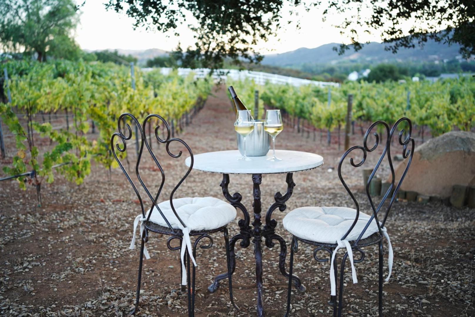 Villa on 5 Acre Vineyard Equestrian Estate, Pool & Hot tub, Events