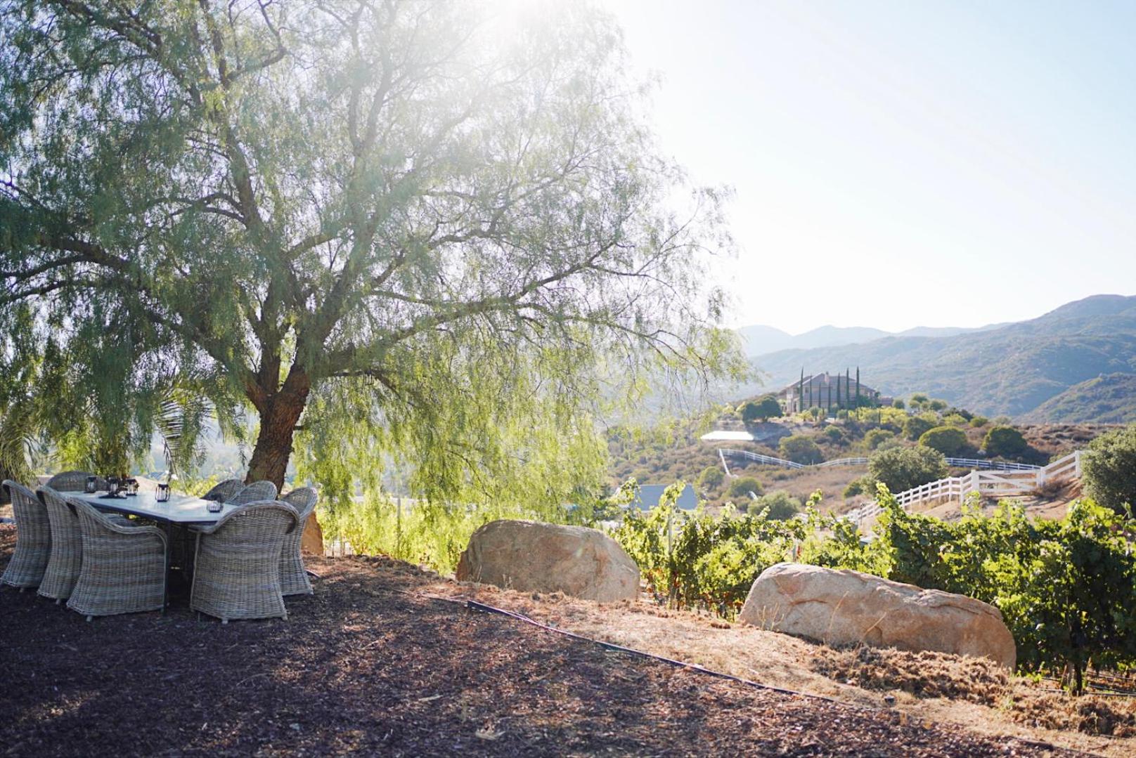 Villa on 5 Acre Vineyard Equestrian Estate, Pool & Hot tub, Events