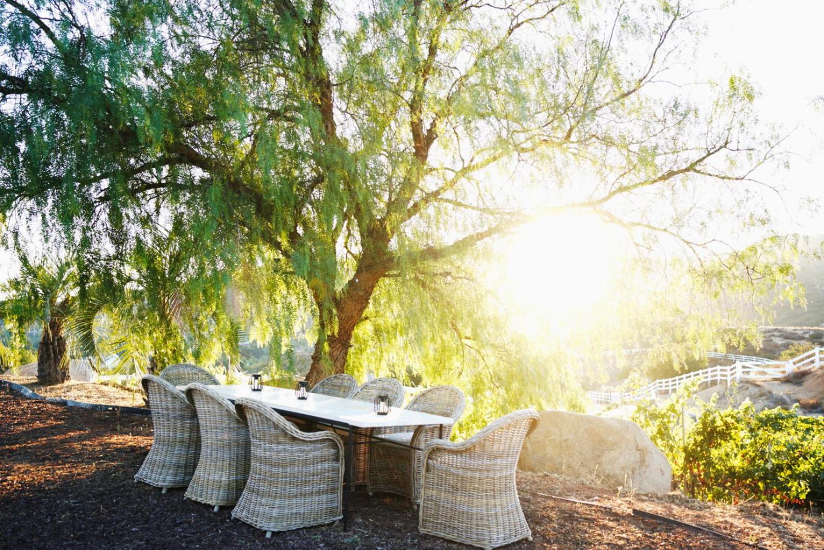 Villa on 5 Acre Vineyard Equestrian Estate, Pool & Hot tub, Events