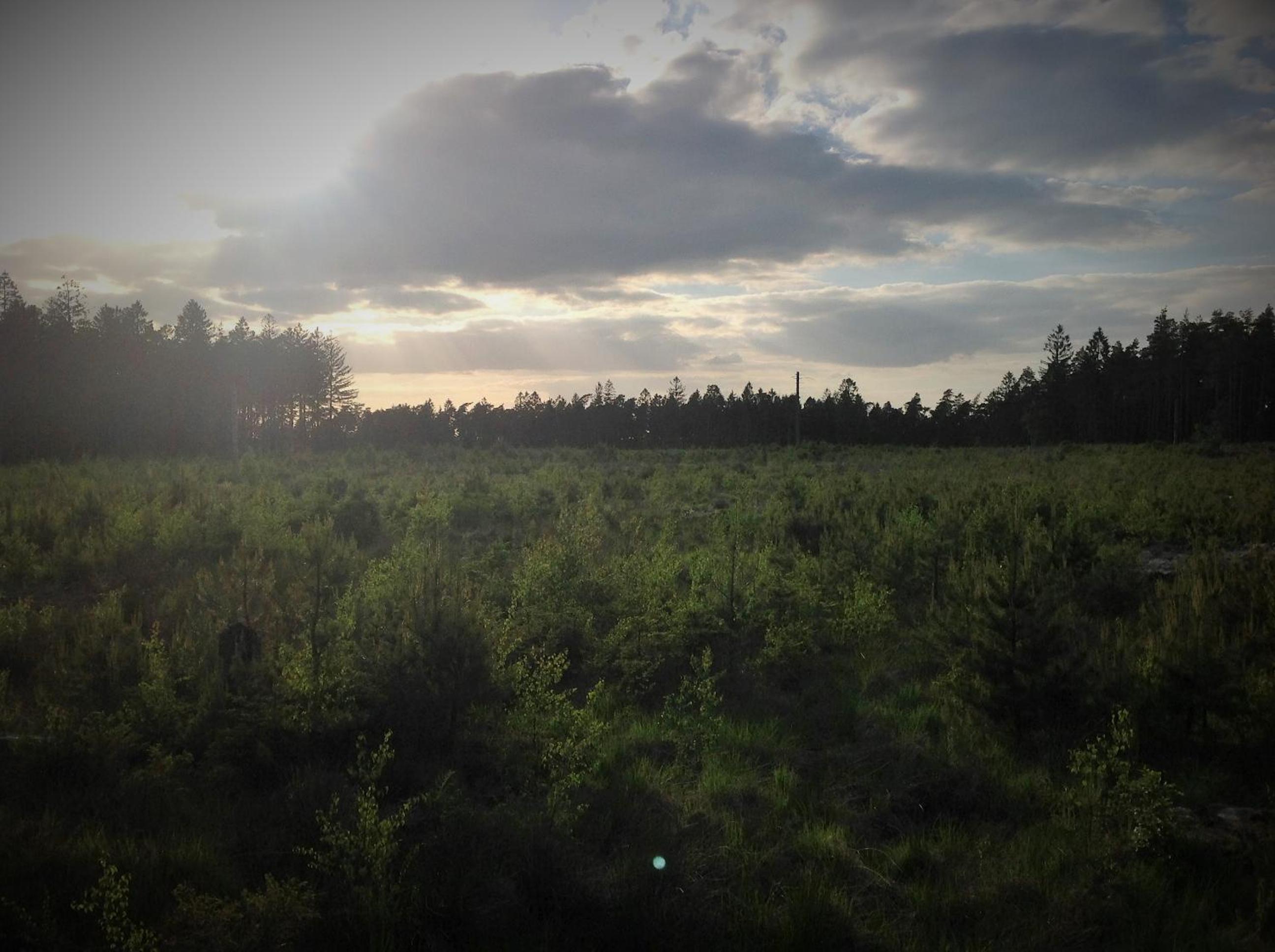 Photo 42