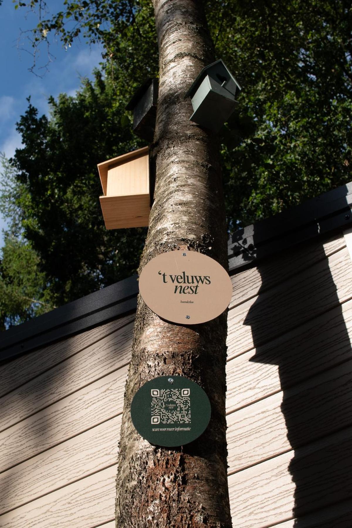 't Veluws Nest - Knus Chalet Veluwe - Hoenderloo, Honden welkom
