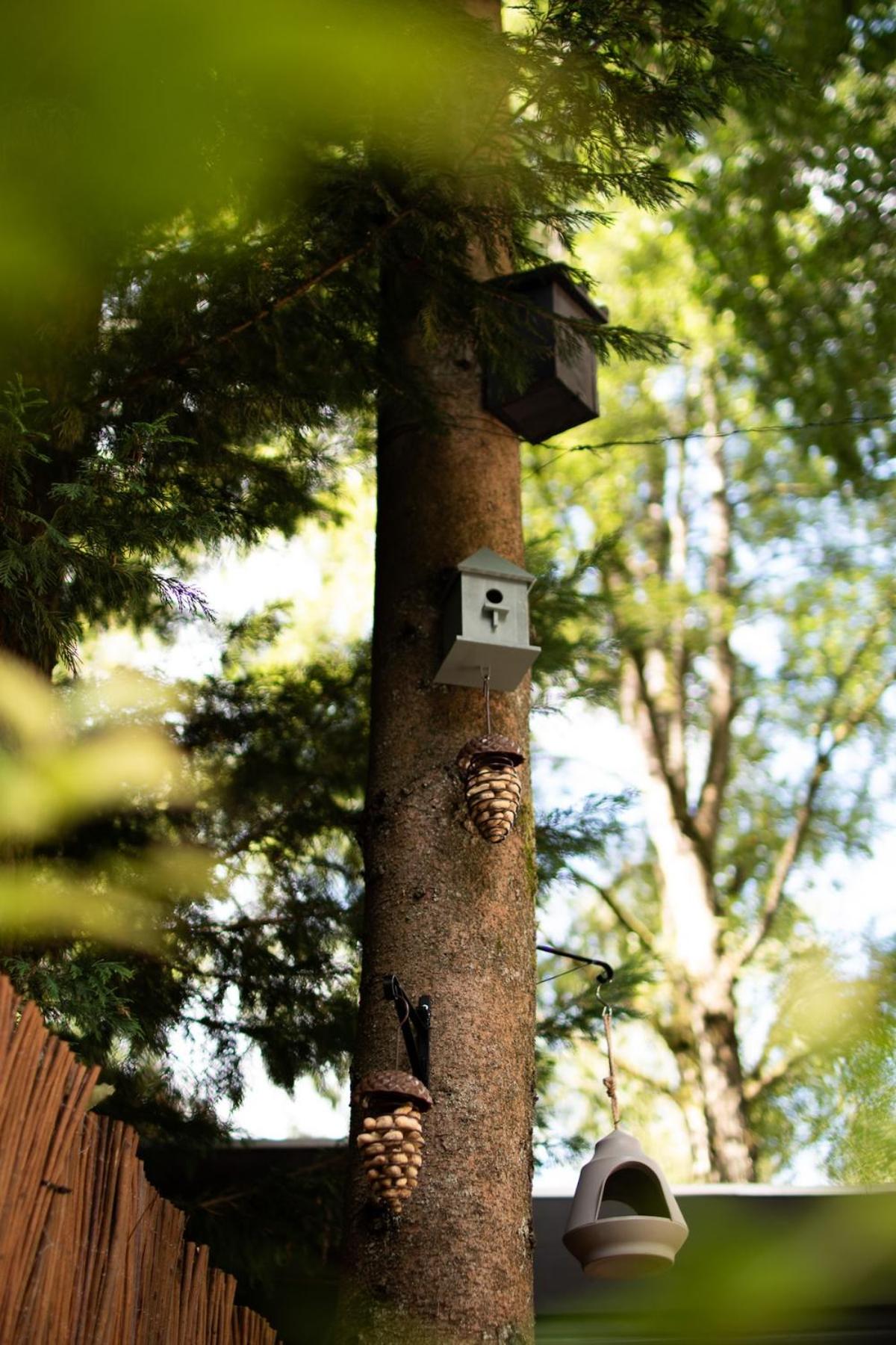 't Veluws Nest - Knus Chalet Veluwe - Hoenderloo, Honden welkom