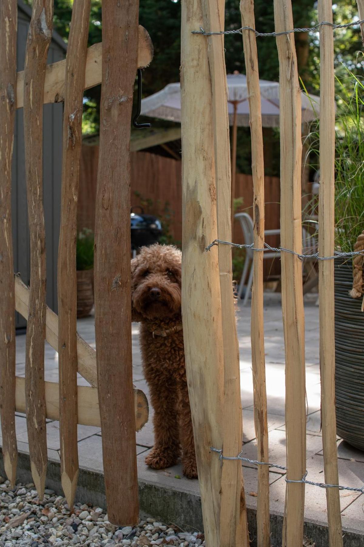 't Veluws Nest - Knus Chalet Veluwe - Hoenderloo, Honden welkom