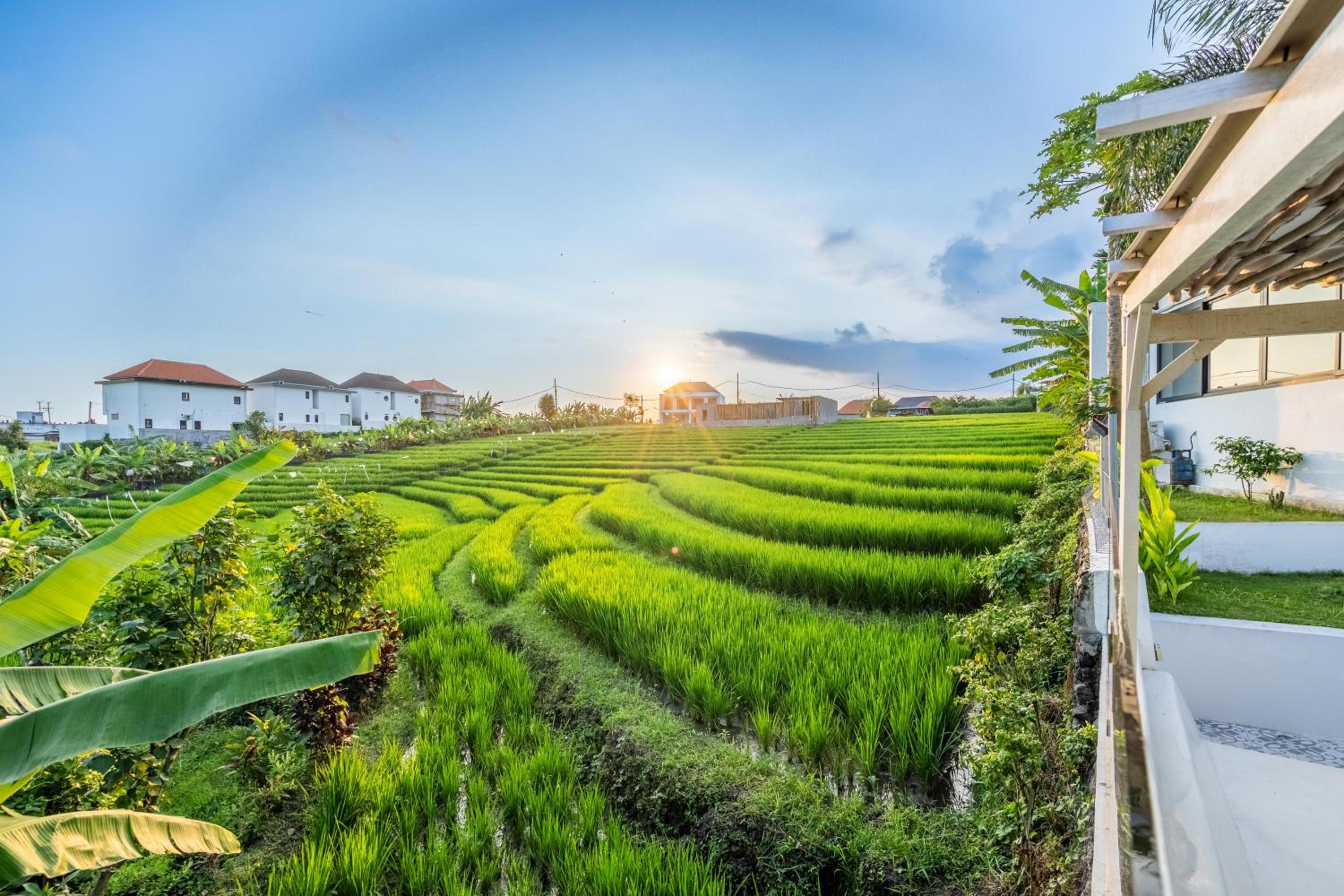 Prime Canggu Villa with stunning Rice field views