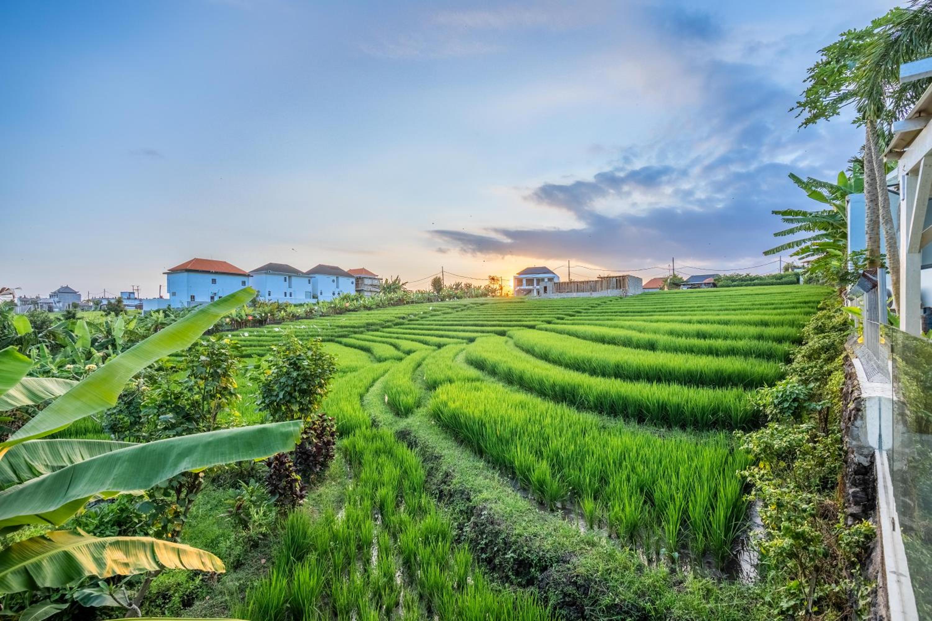 Prime Canggu Villa with stunning Rice field views