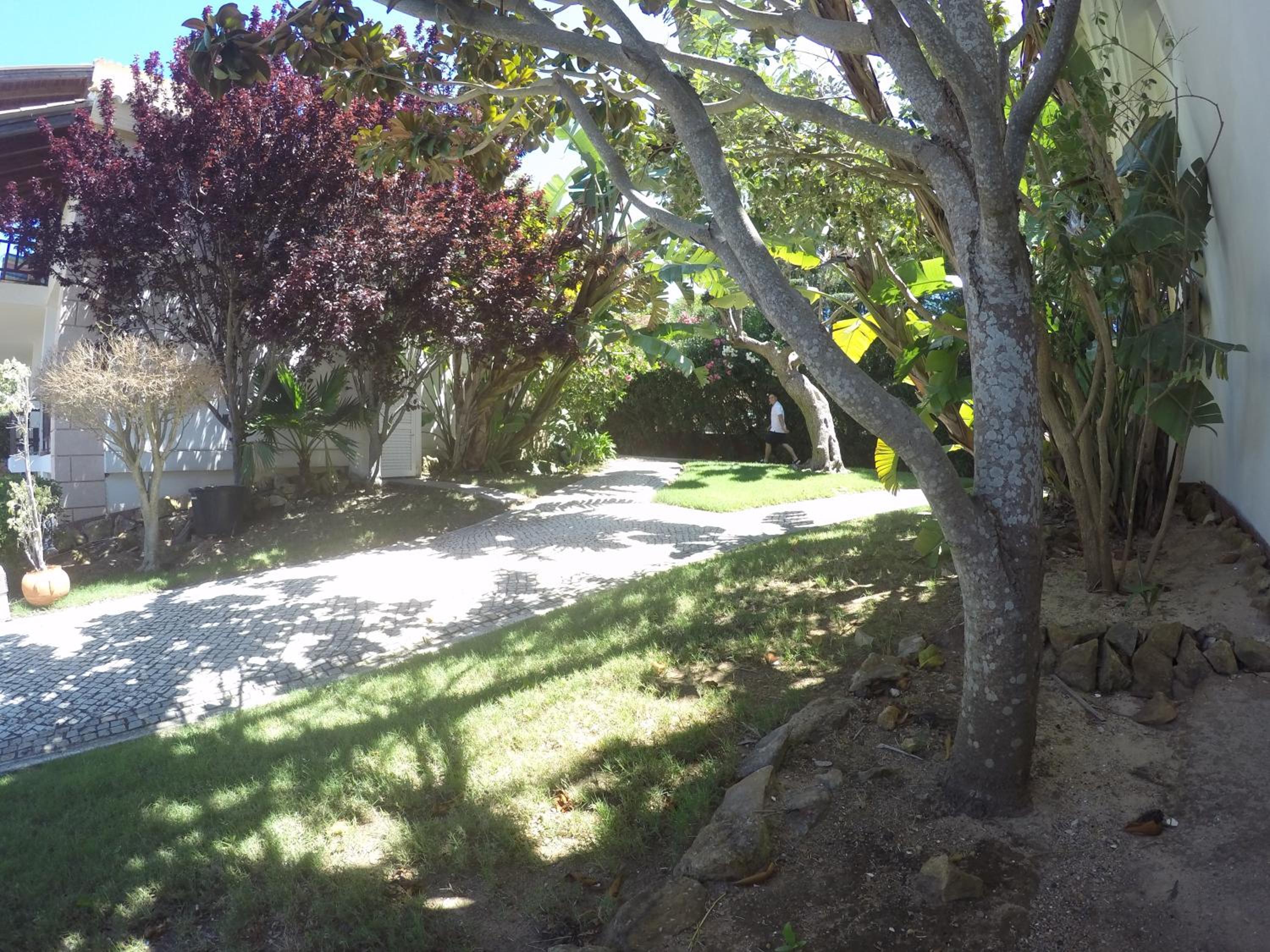 Photo 26