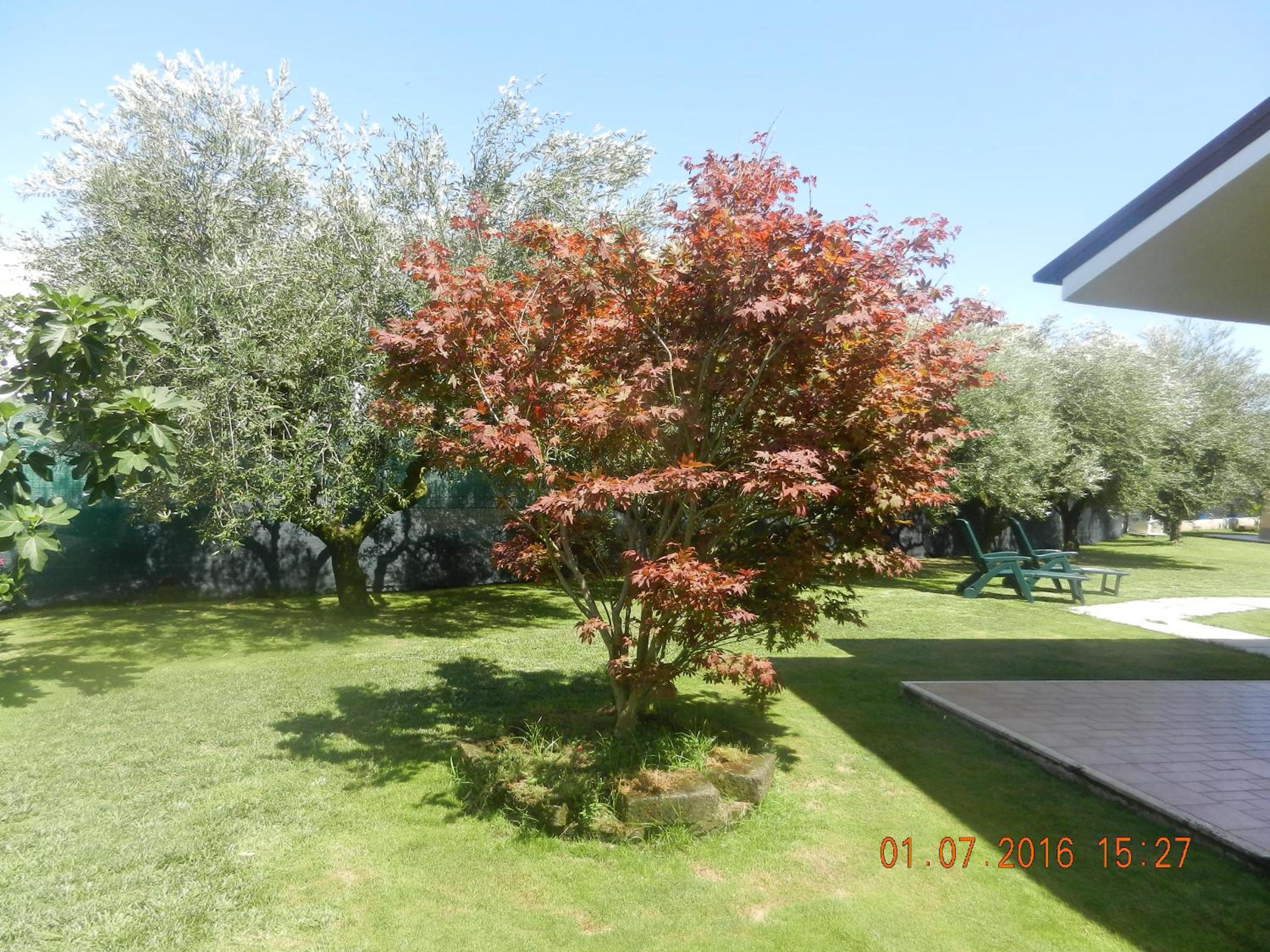 Le Terre Di BAC view 3