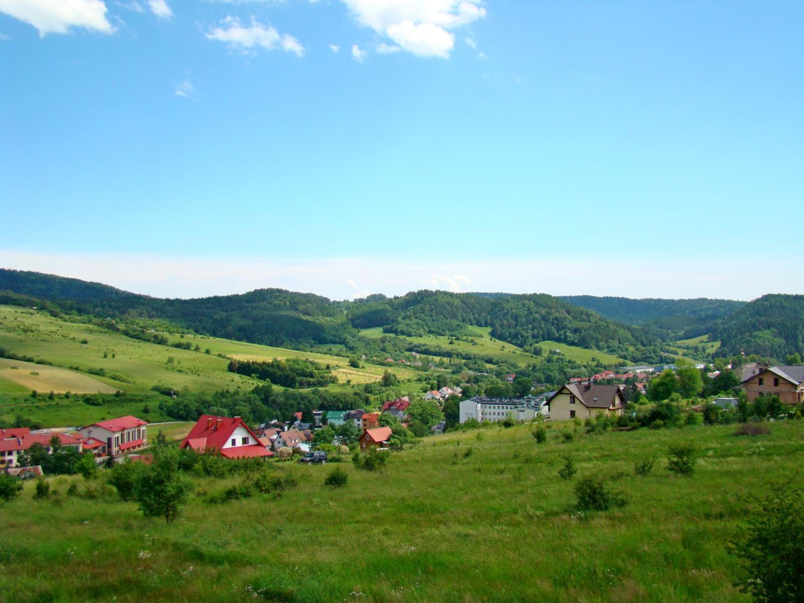 Photo 49