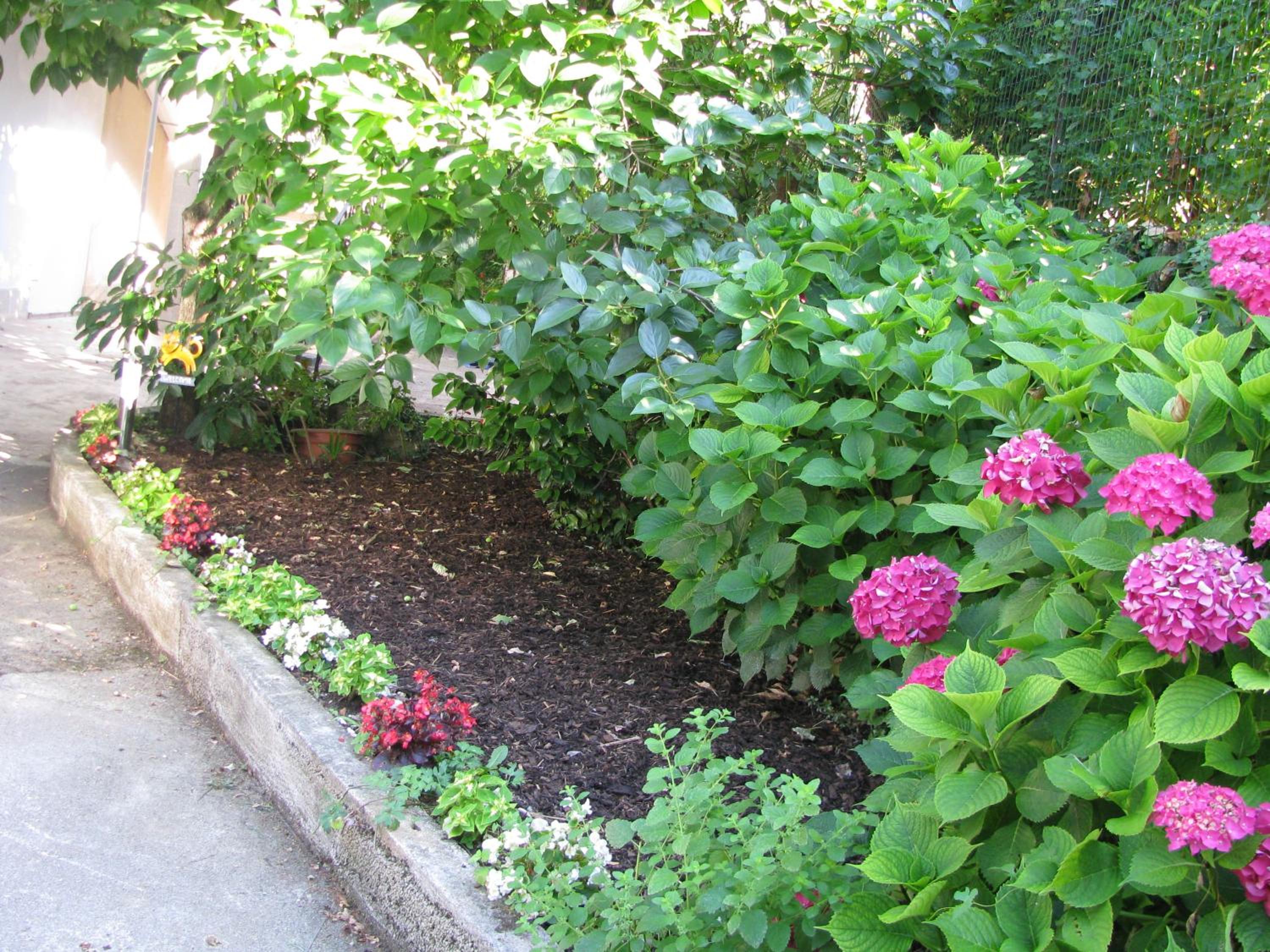 Photo 34