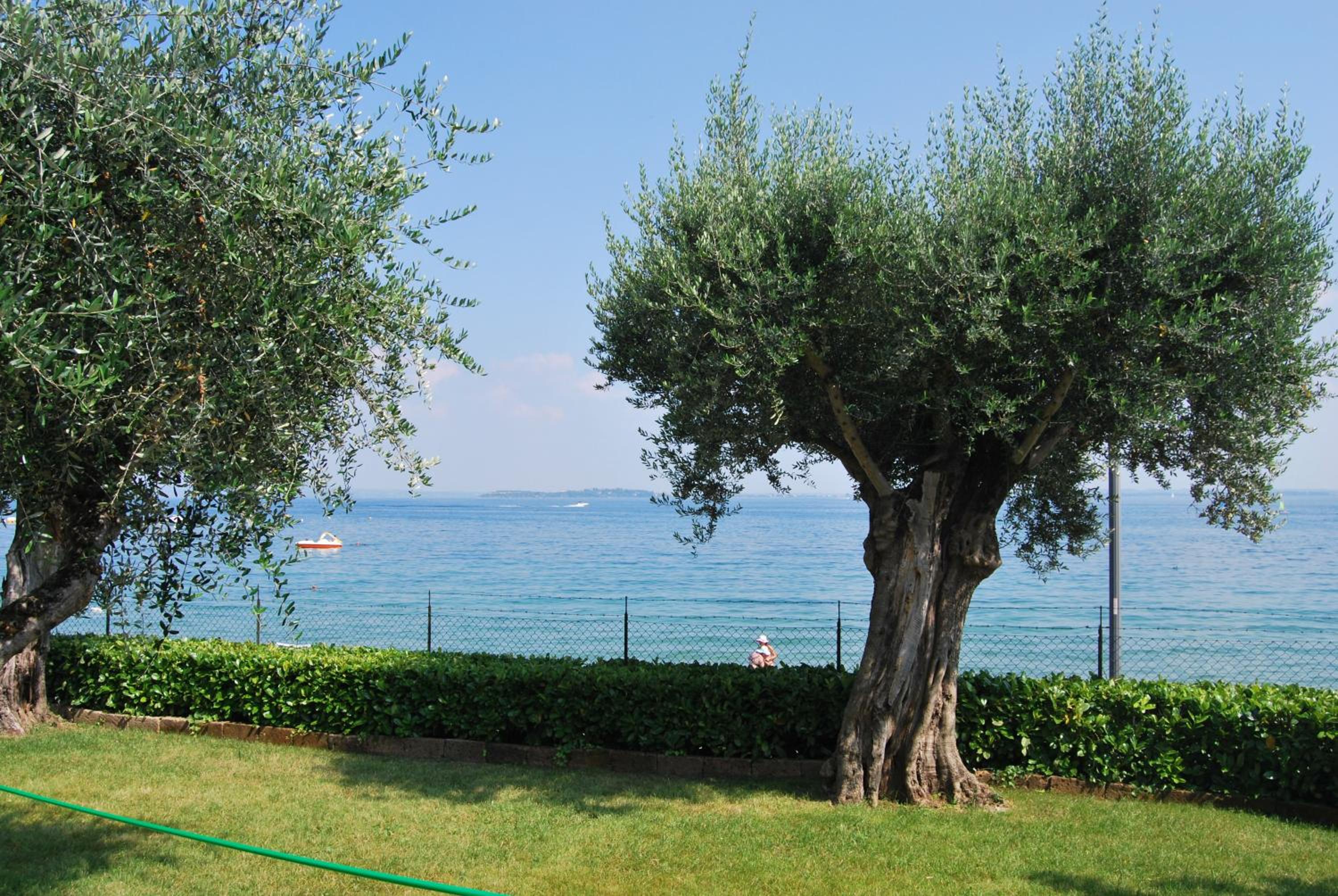 Camping Porto srl