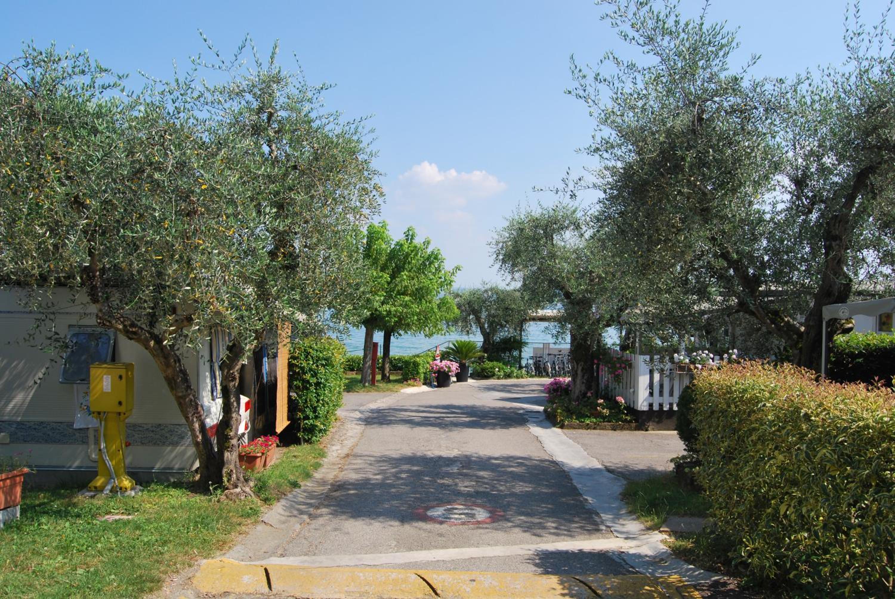 Camping Porto srl