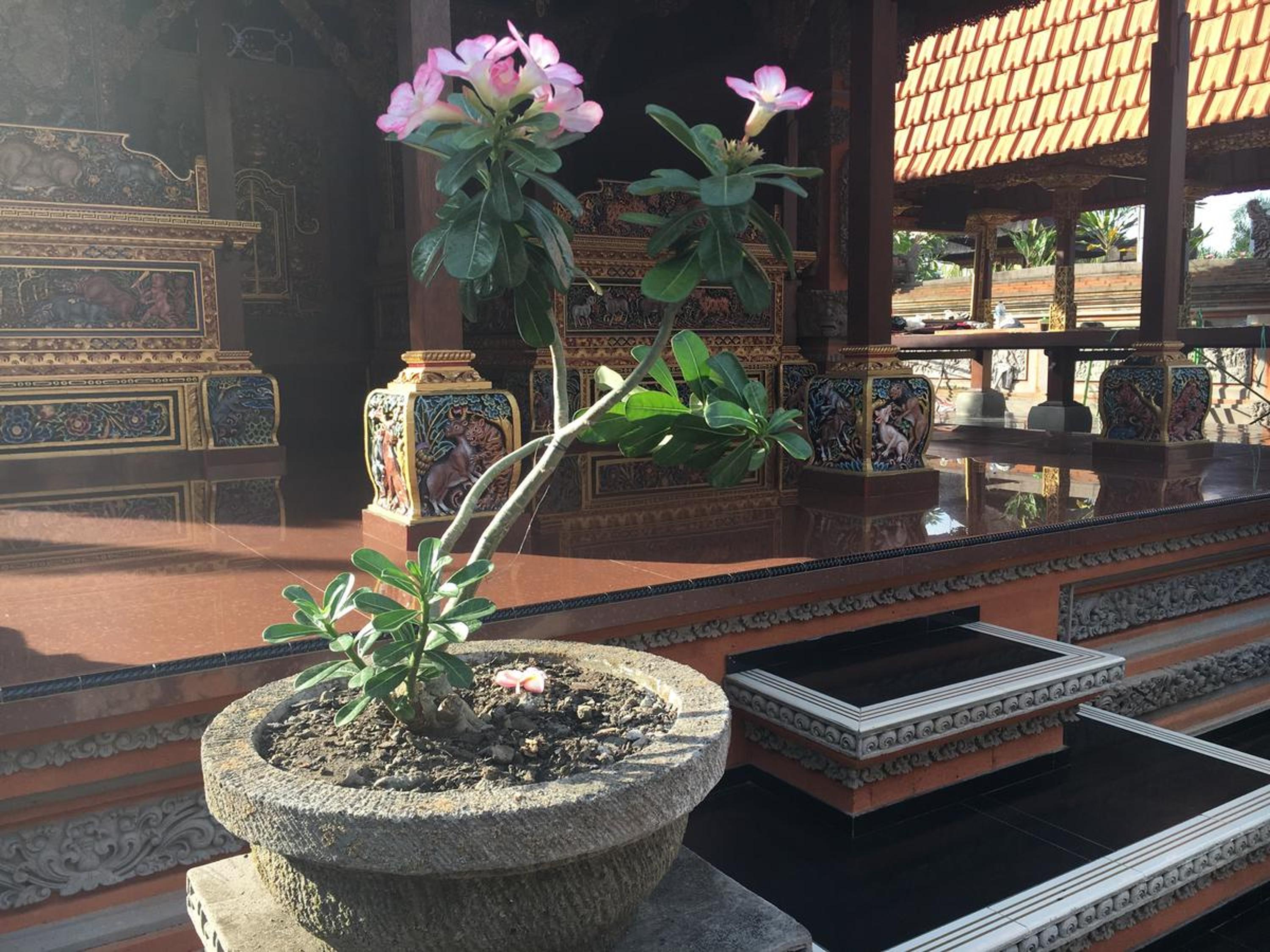 Gedong Bali Family Homestay