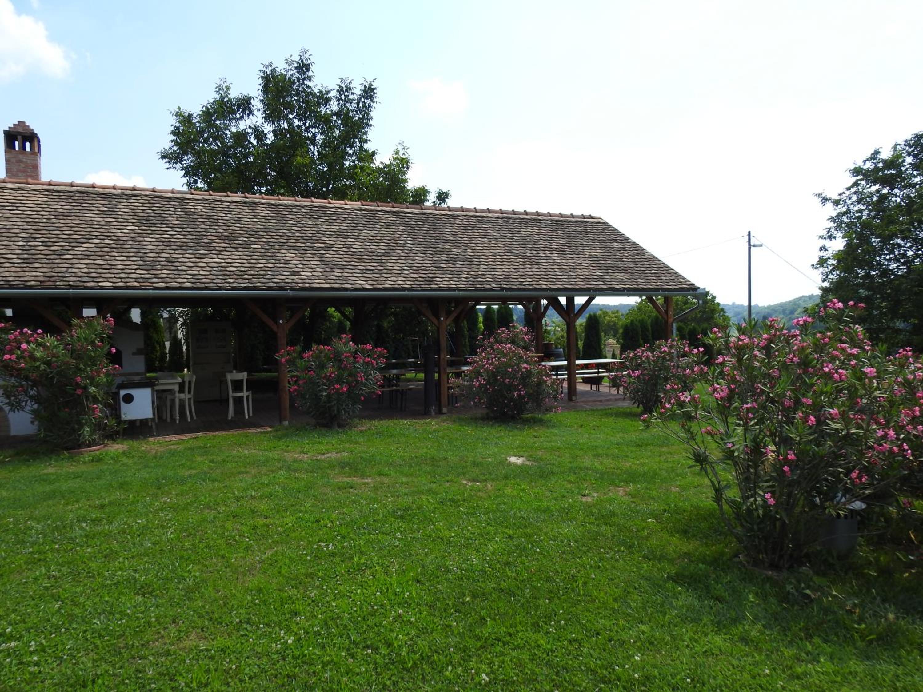 Blum Pince - Borozó Vendégház view 4