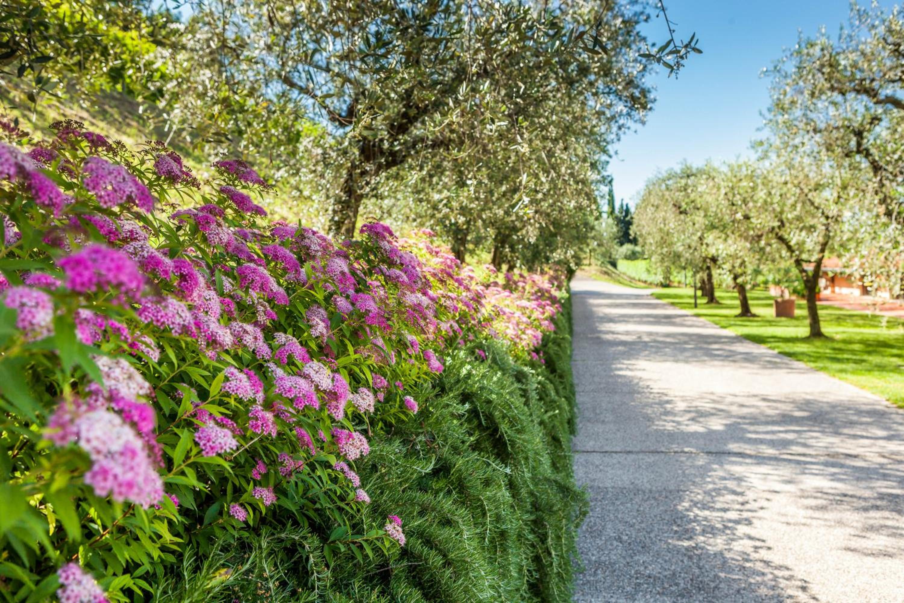 Quercia Belvedere Relais