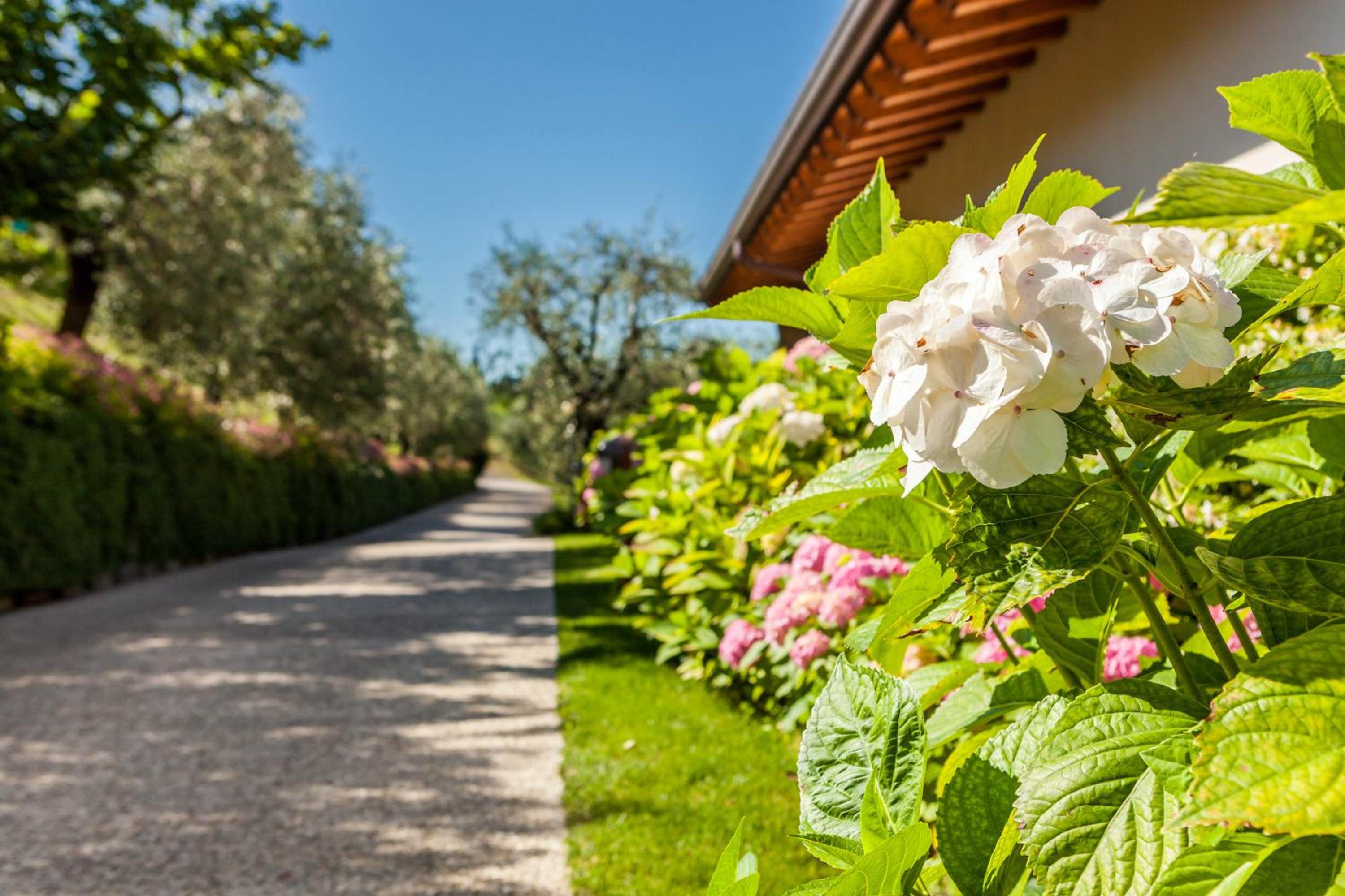 Quercia Belvedere Relais