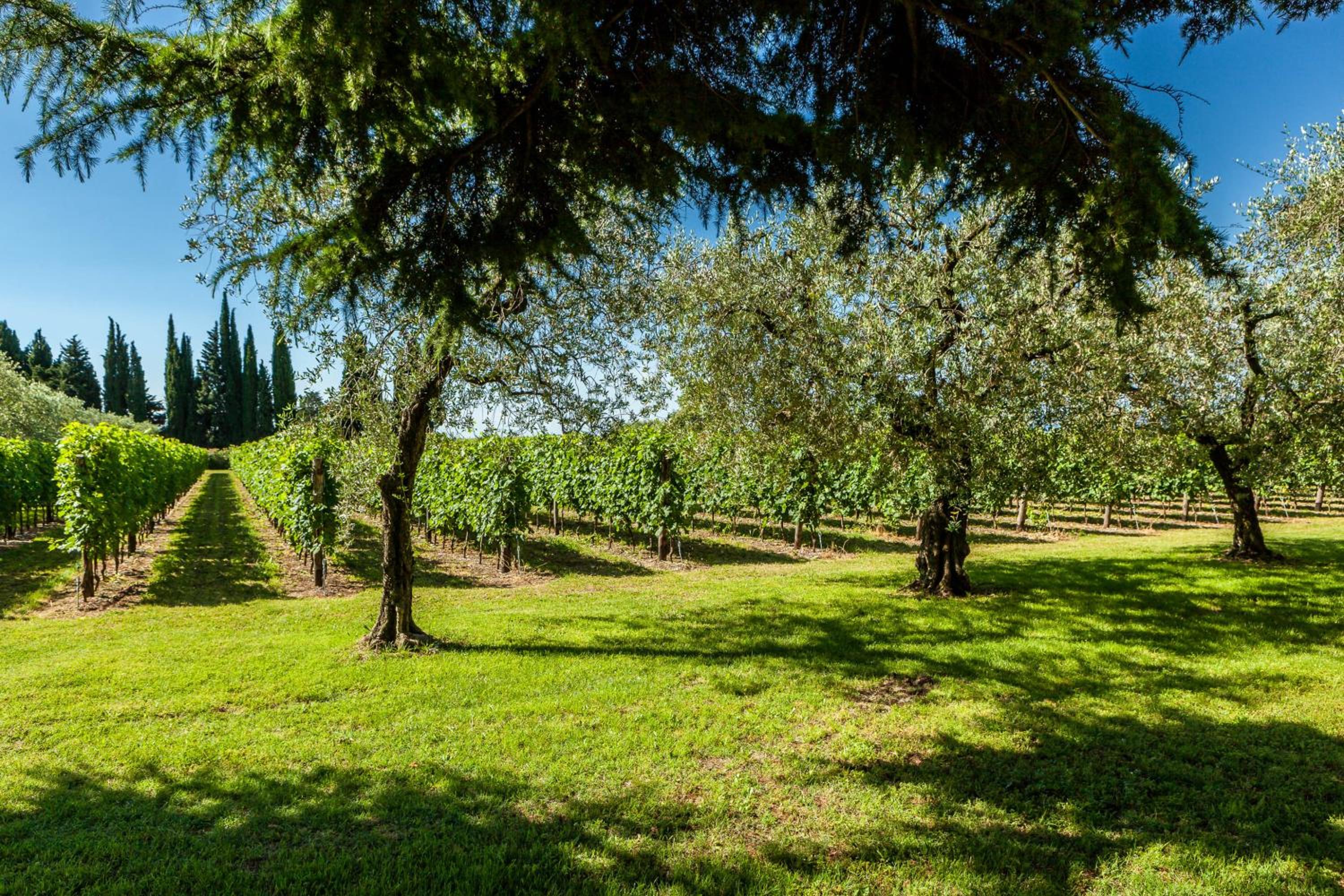 Quercia Belvedere Relais