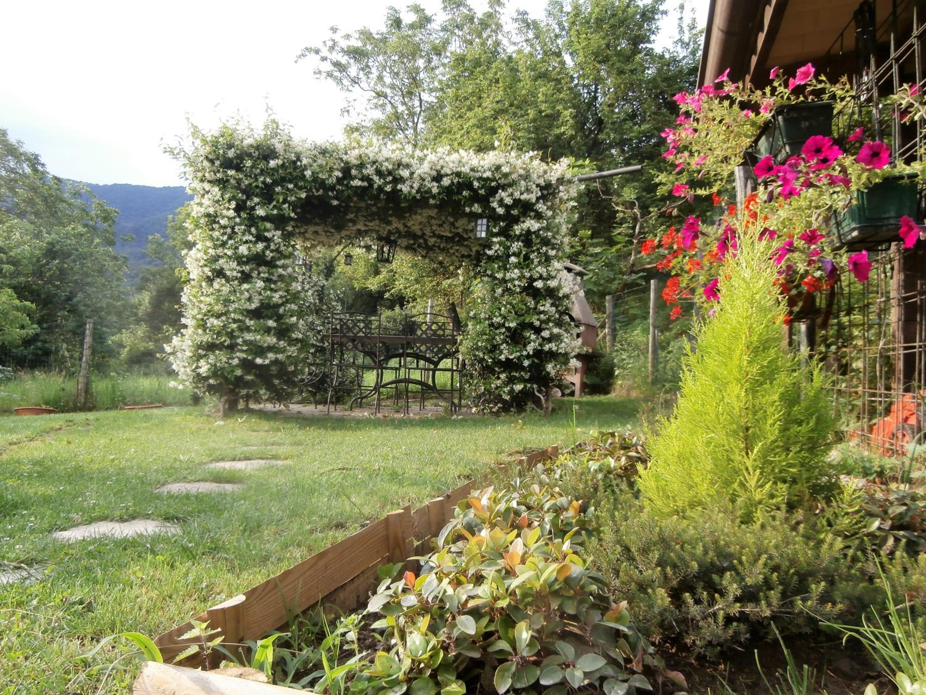 Photo 21