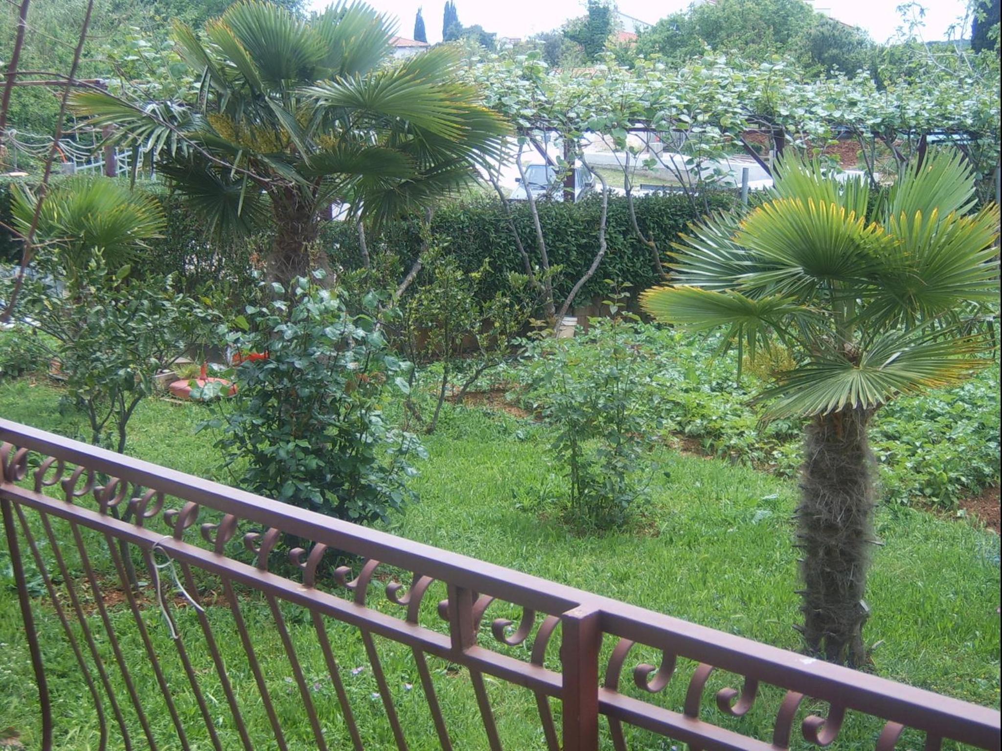 Apartments Zova