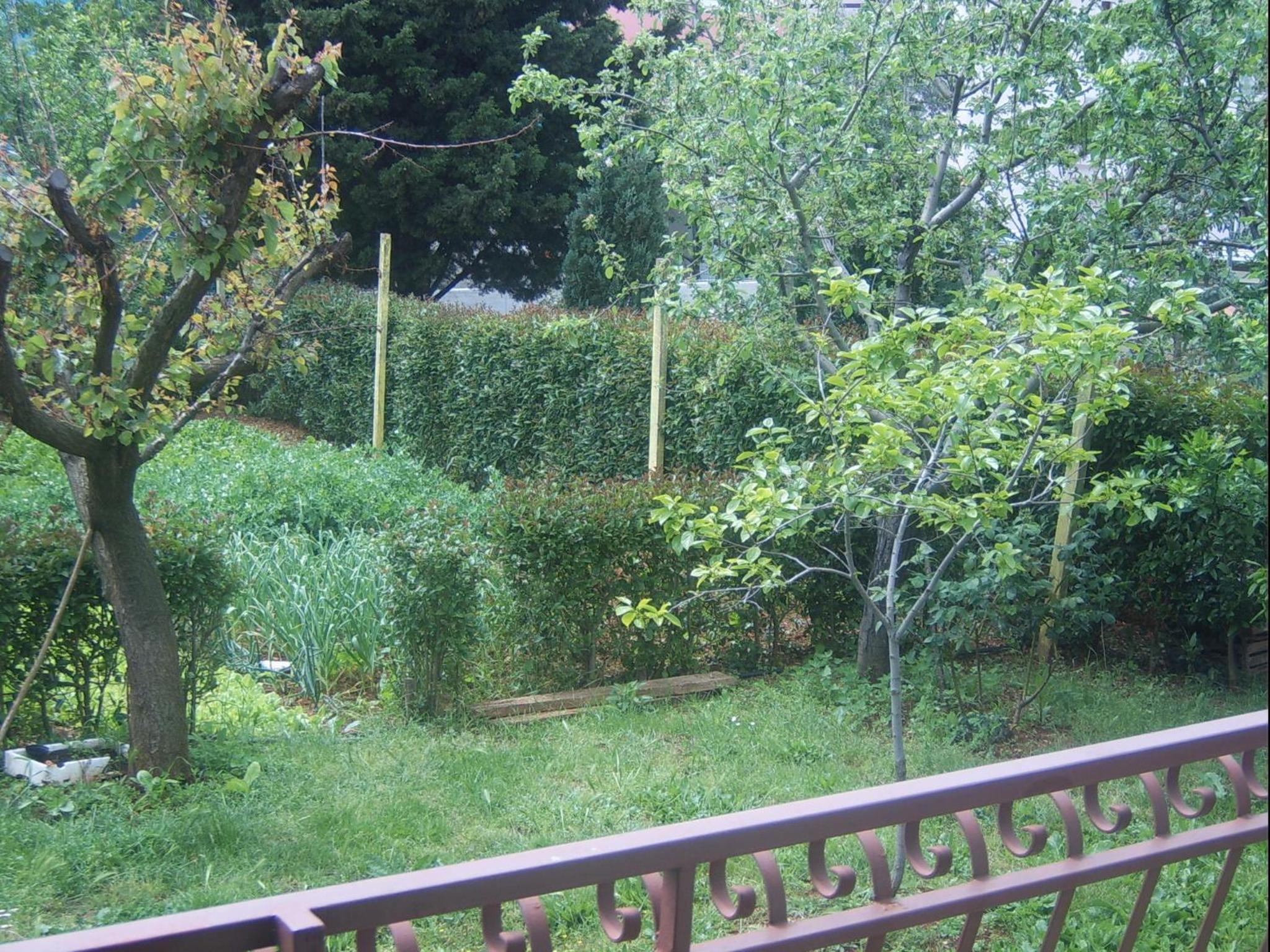 Apartments Zova