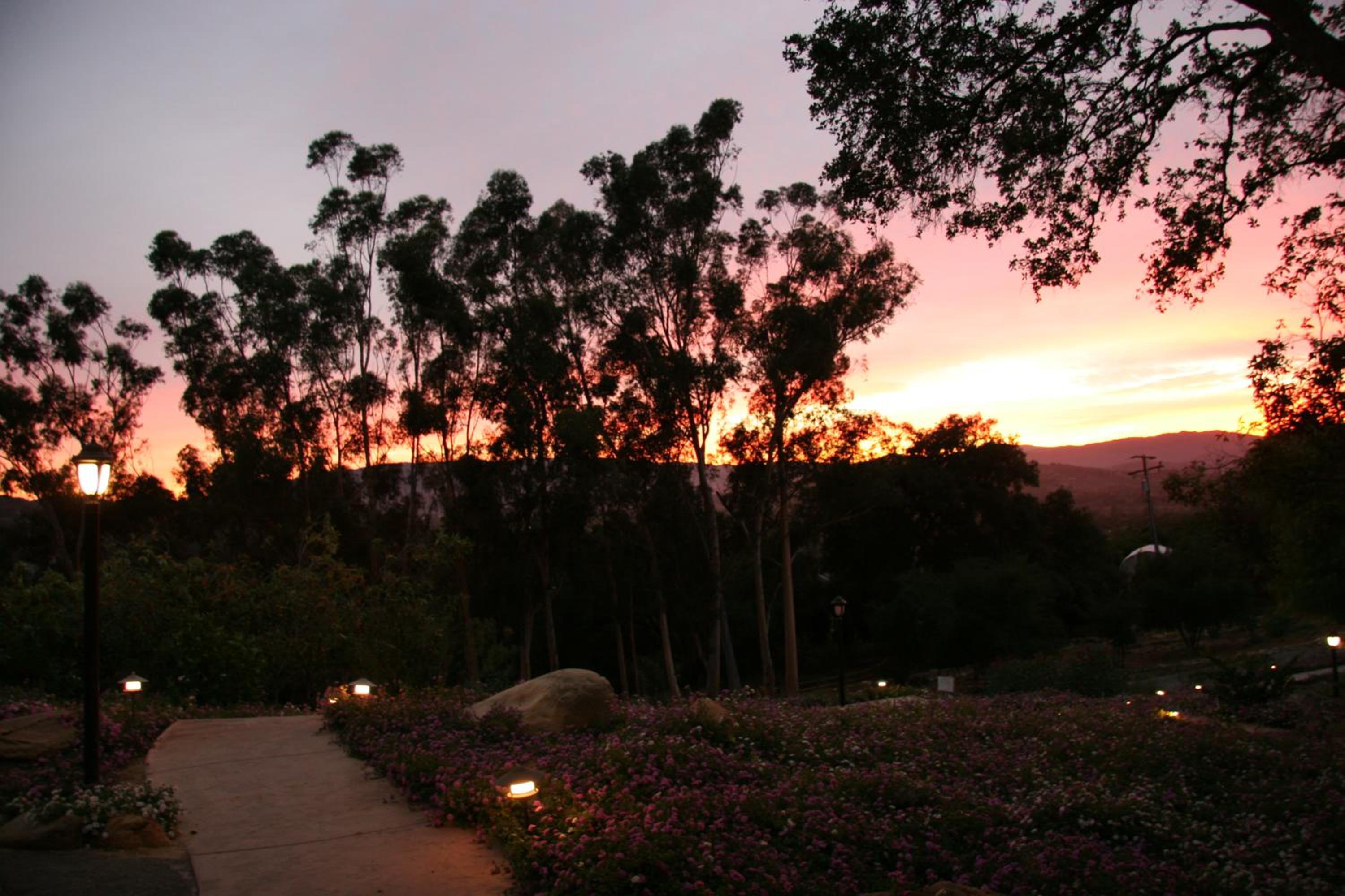 Ojai Retreat & Inn view 5