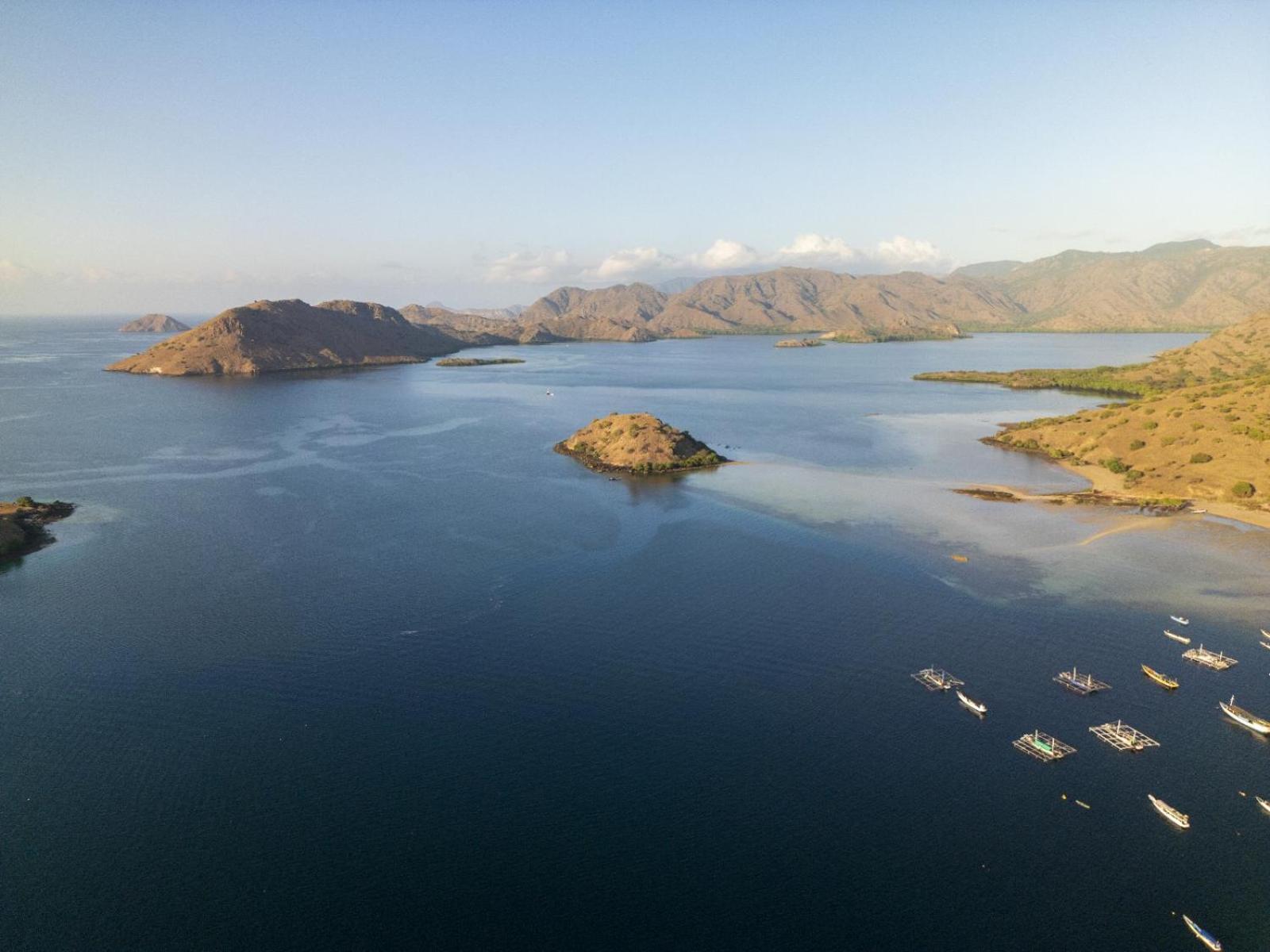 Jojo Komodo Homestay