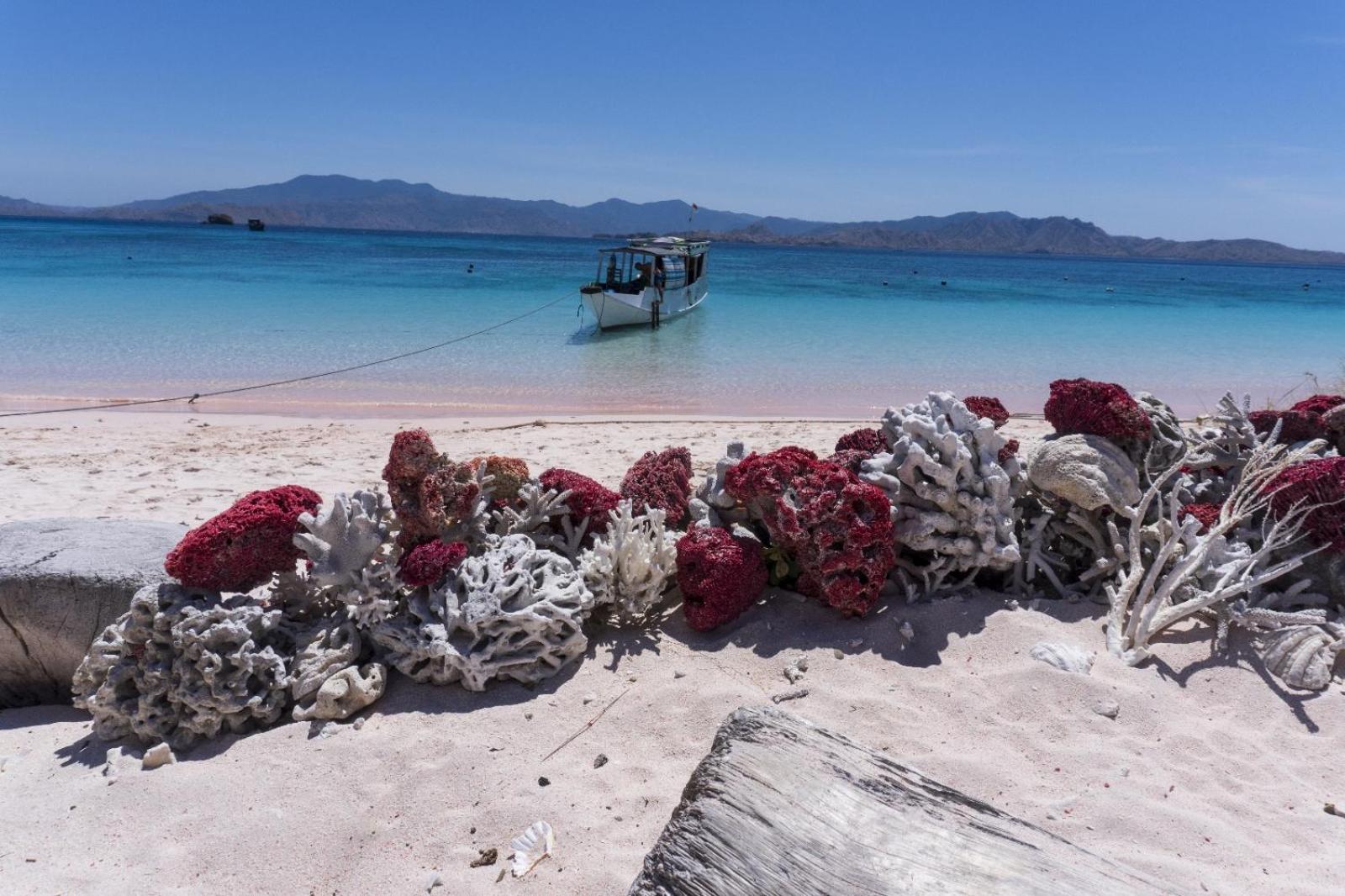Jojo Komodo Homestay