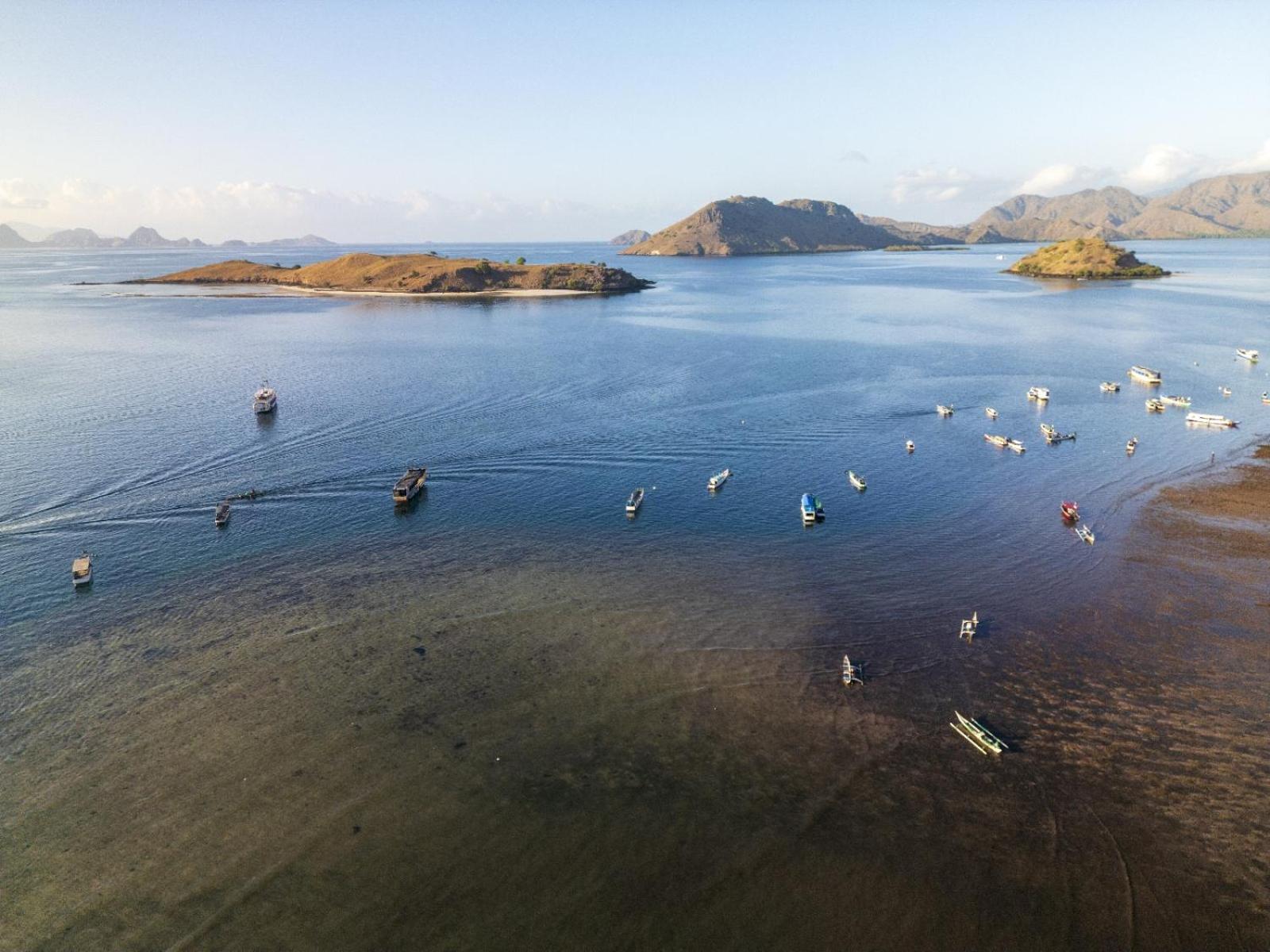 Jojo Komodo Homestay