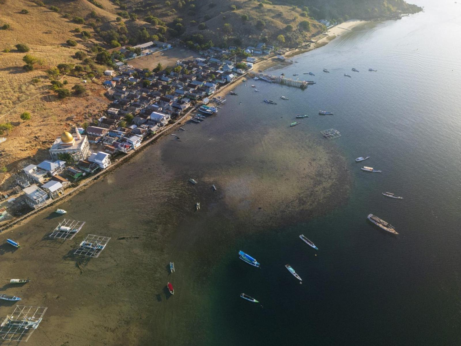 Jojo Komodo Homestay