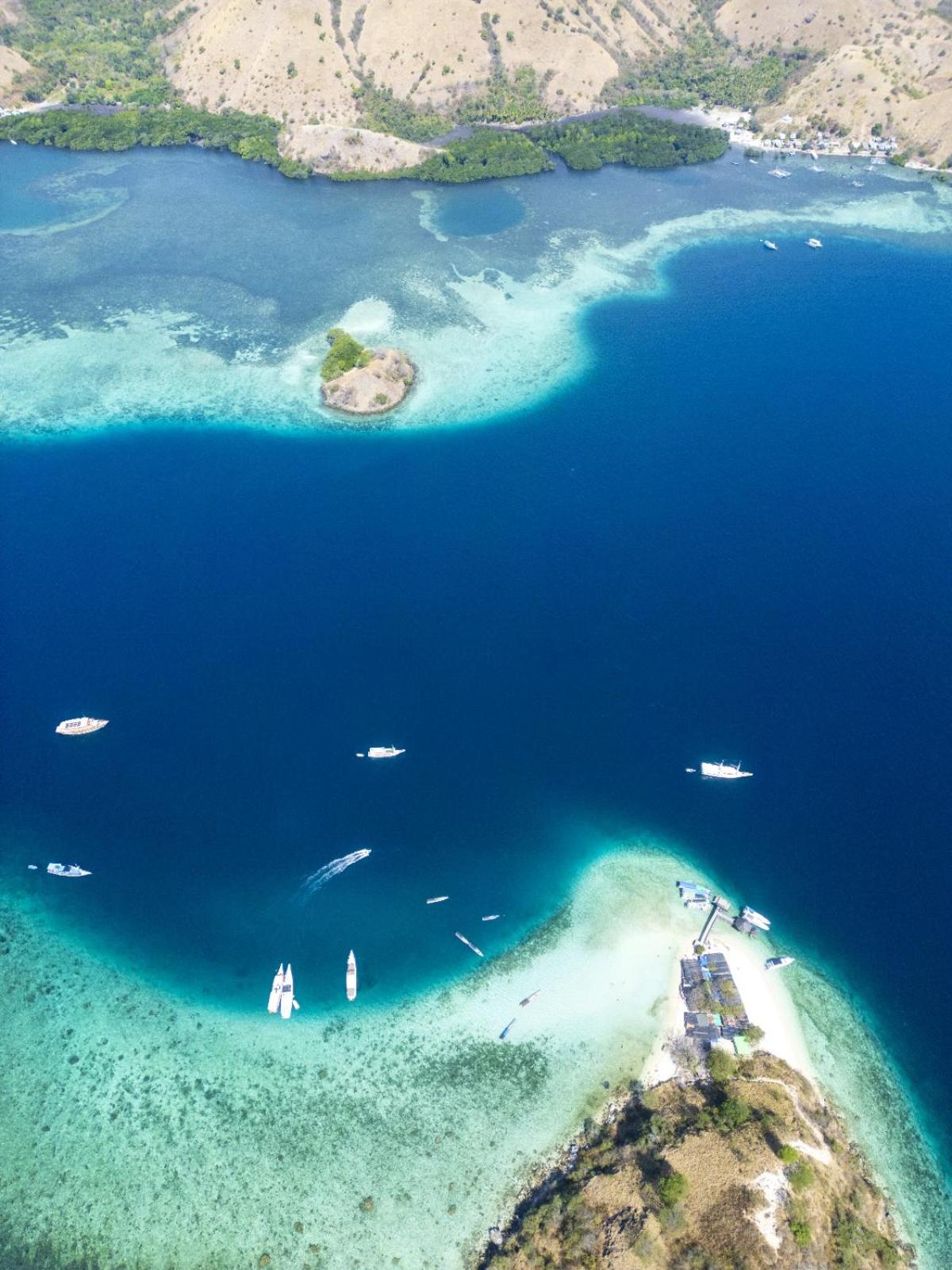 Jojo Komodo Homestay
