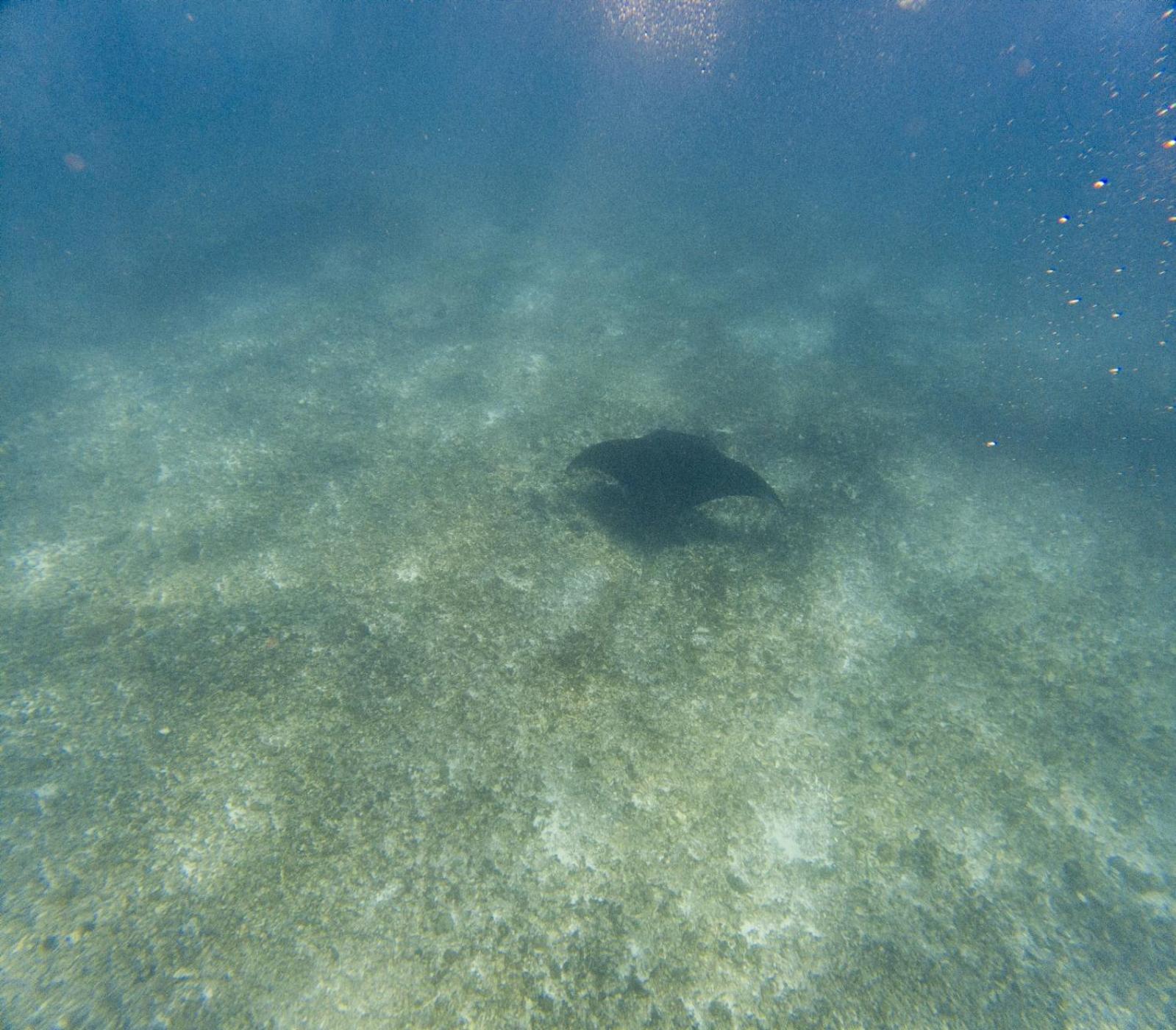 Jojo Komodo Homestay