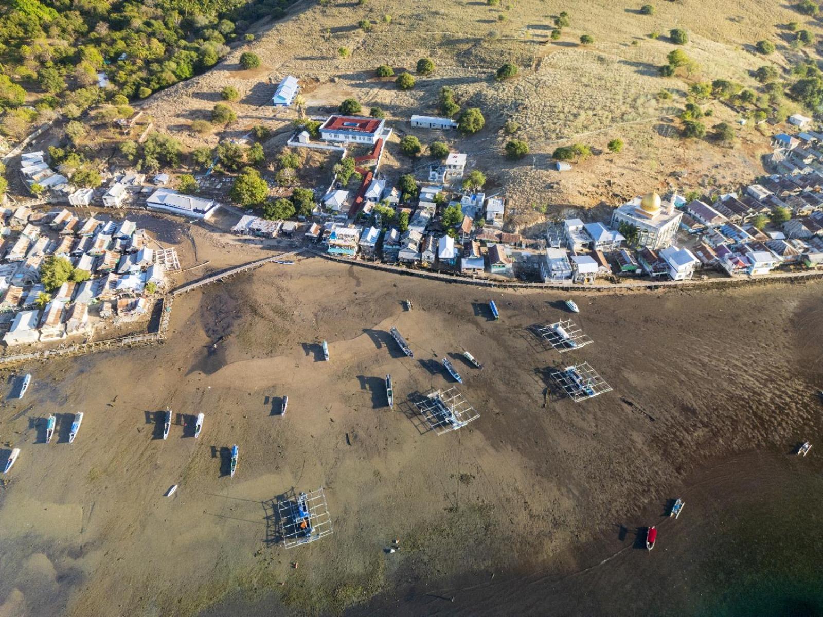 Jojo Komodo Homestay