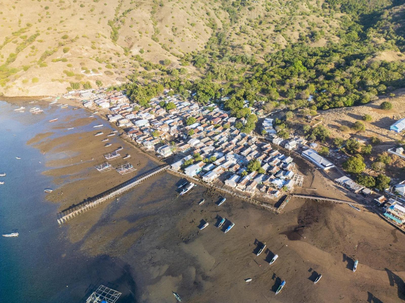 Jojo Komodo Homestay