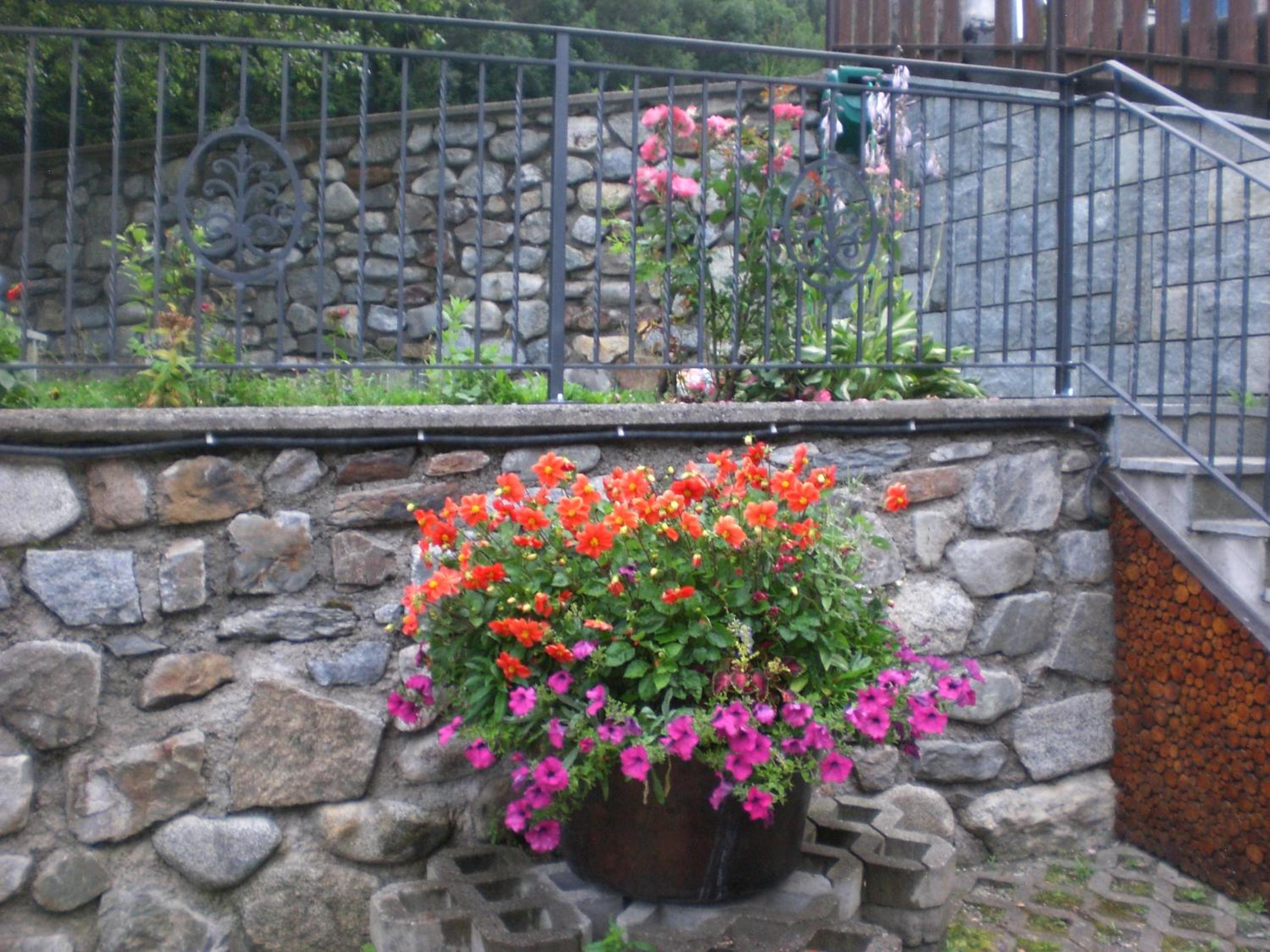 Photo 27