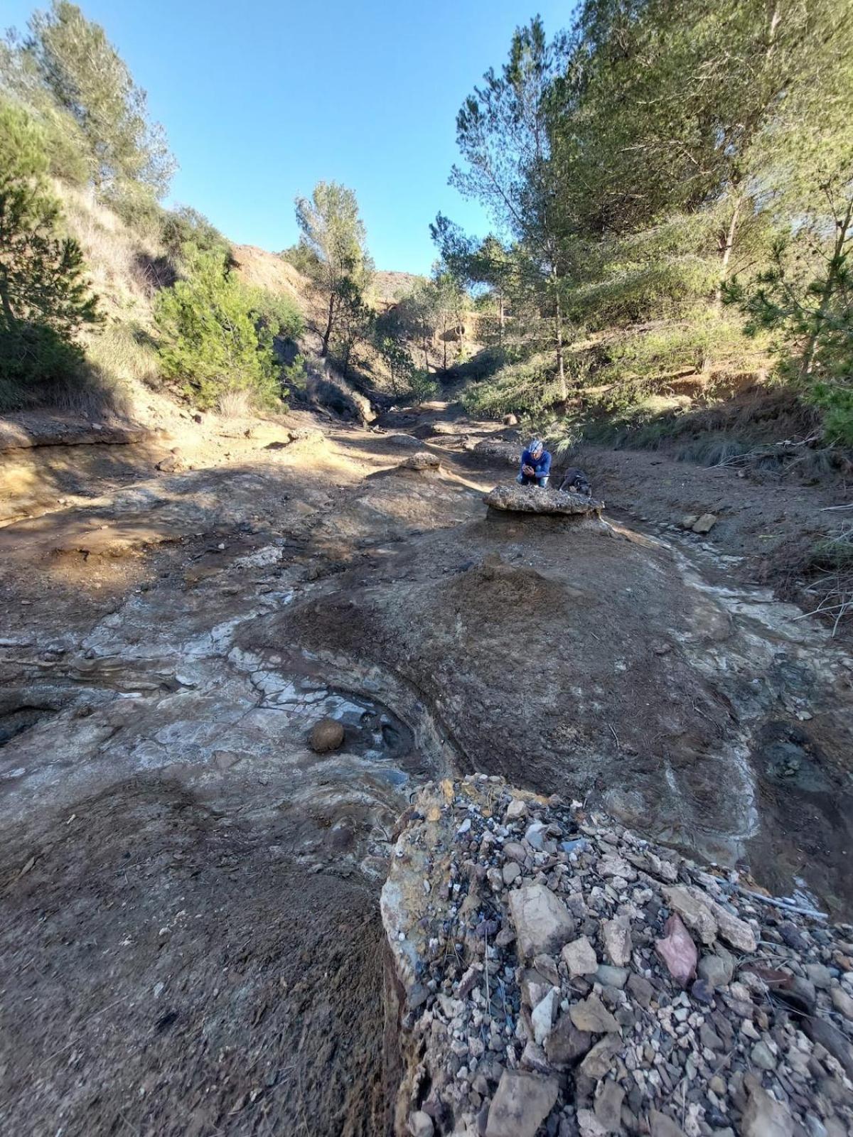 El Llano del Beal