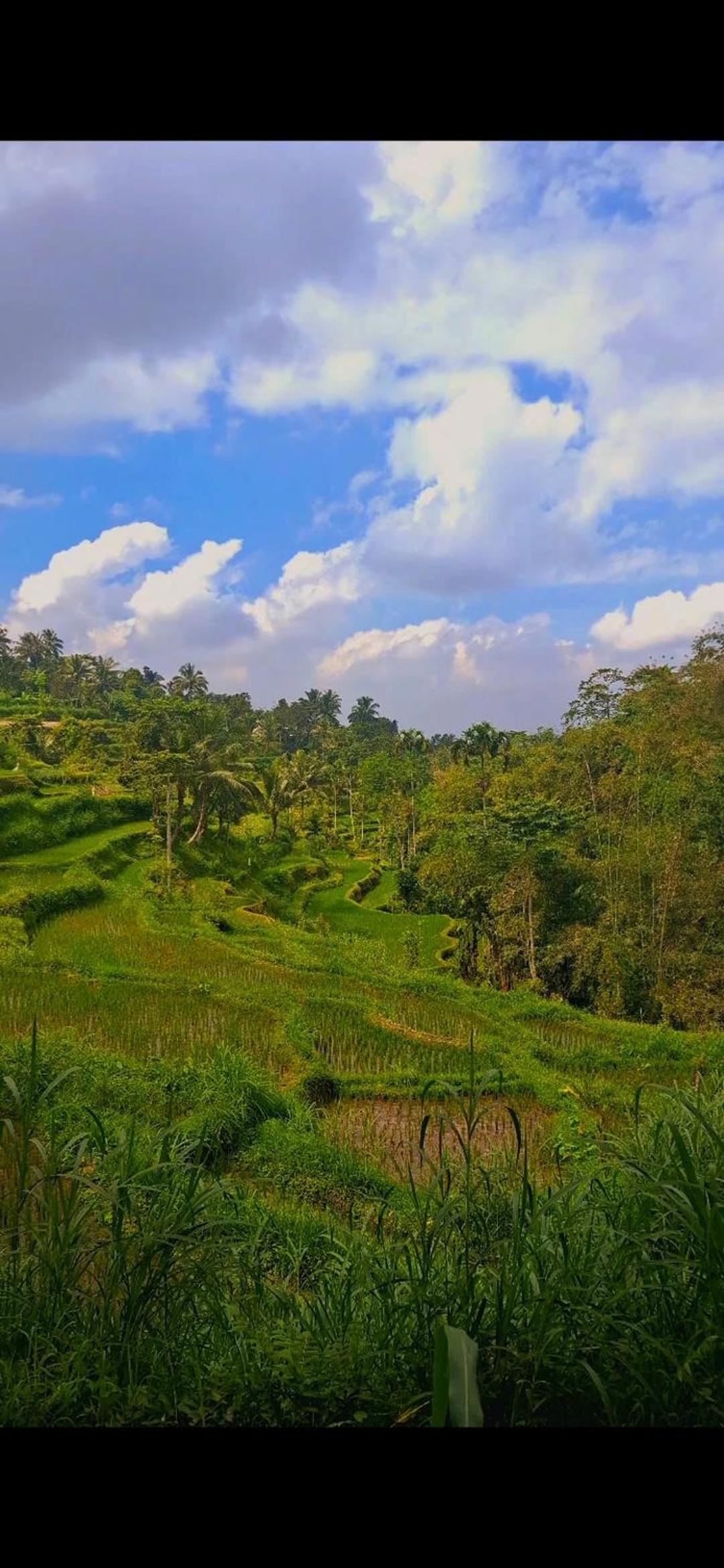 Bamboo Craft Homestay