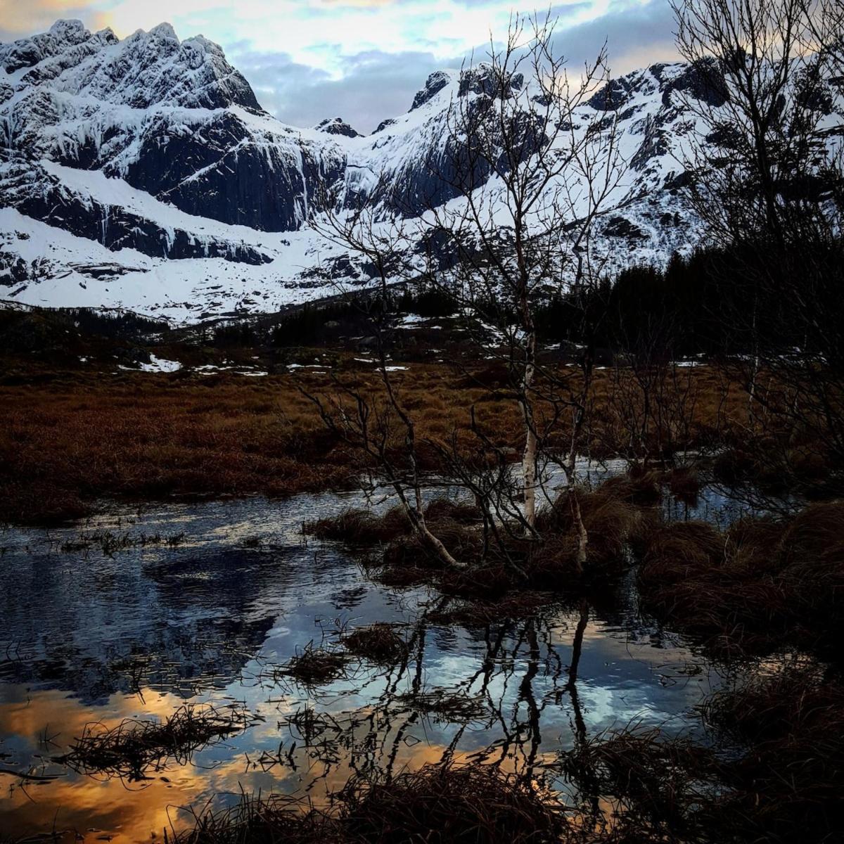 Vareid Panorama Lofoten Lysvollhuset