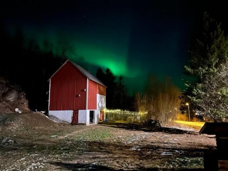 Vareid Panorama Lofoten Lysvollhuset