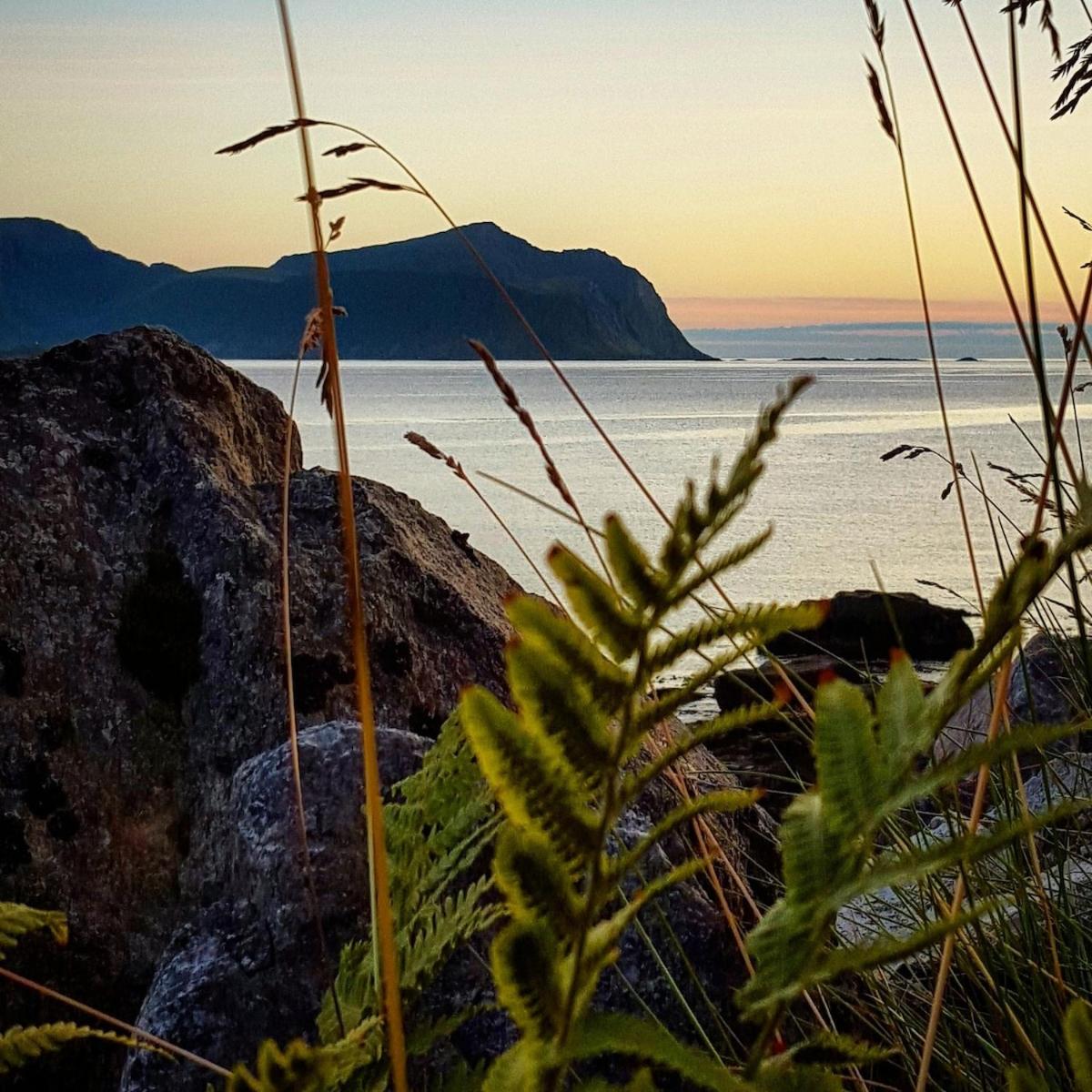 Vareid Panorama Lofoten Lysvollhuset