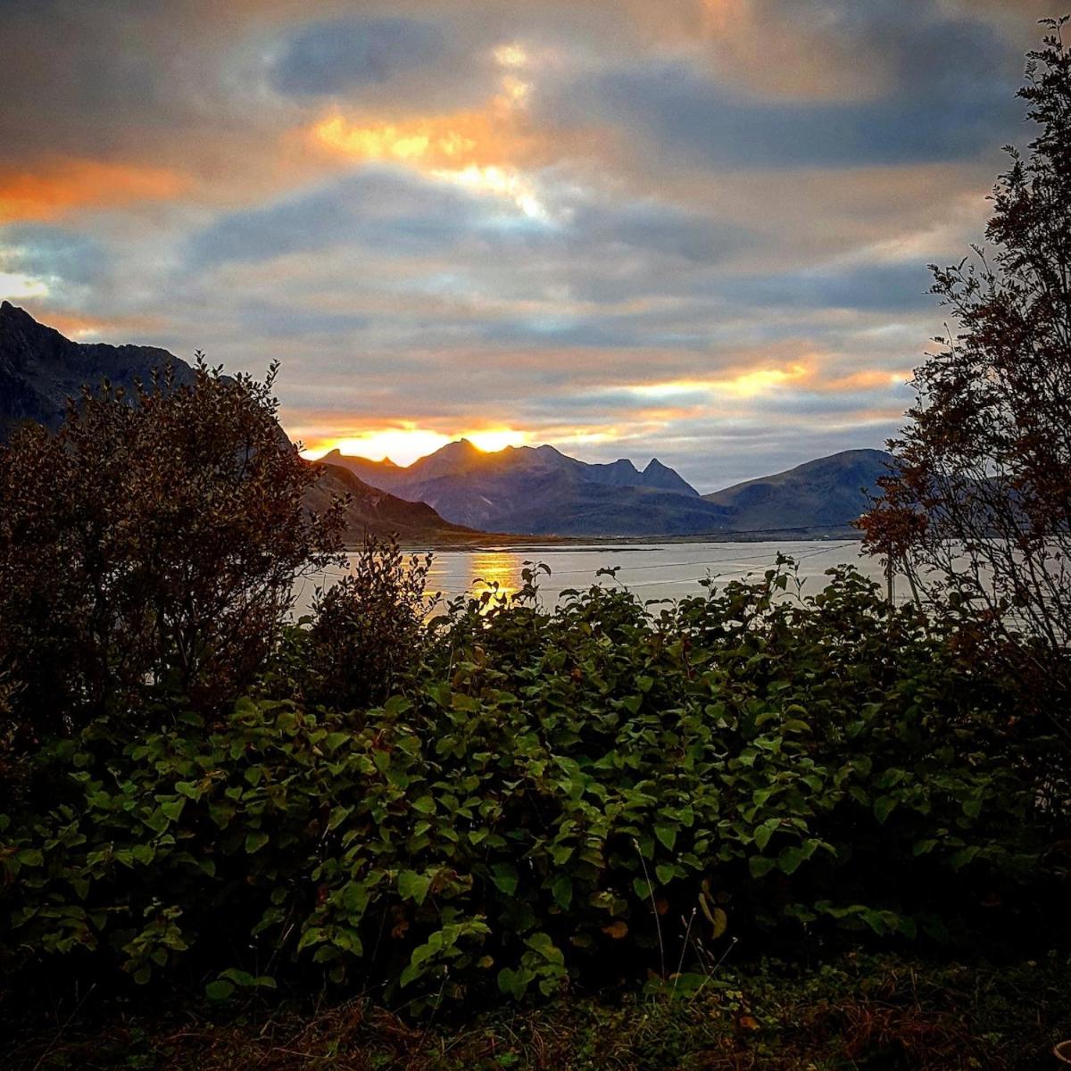 Vareid Panorama Lofoten Lysvollhuset