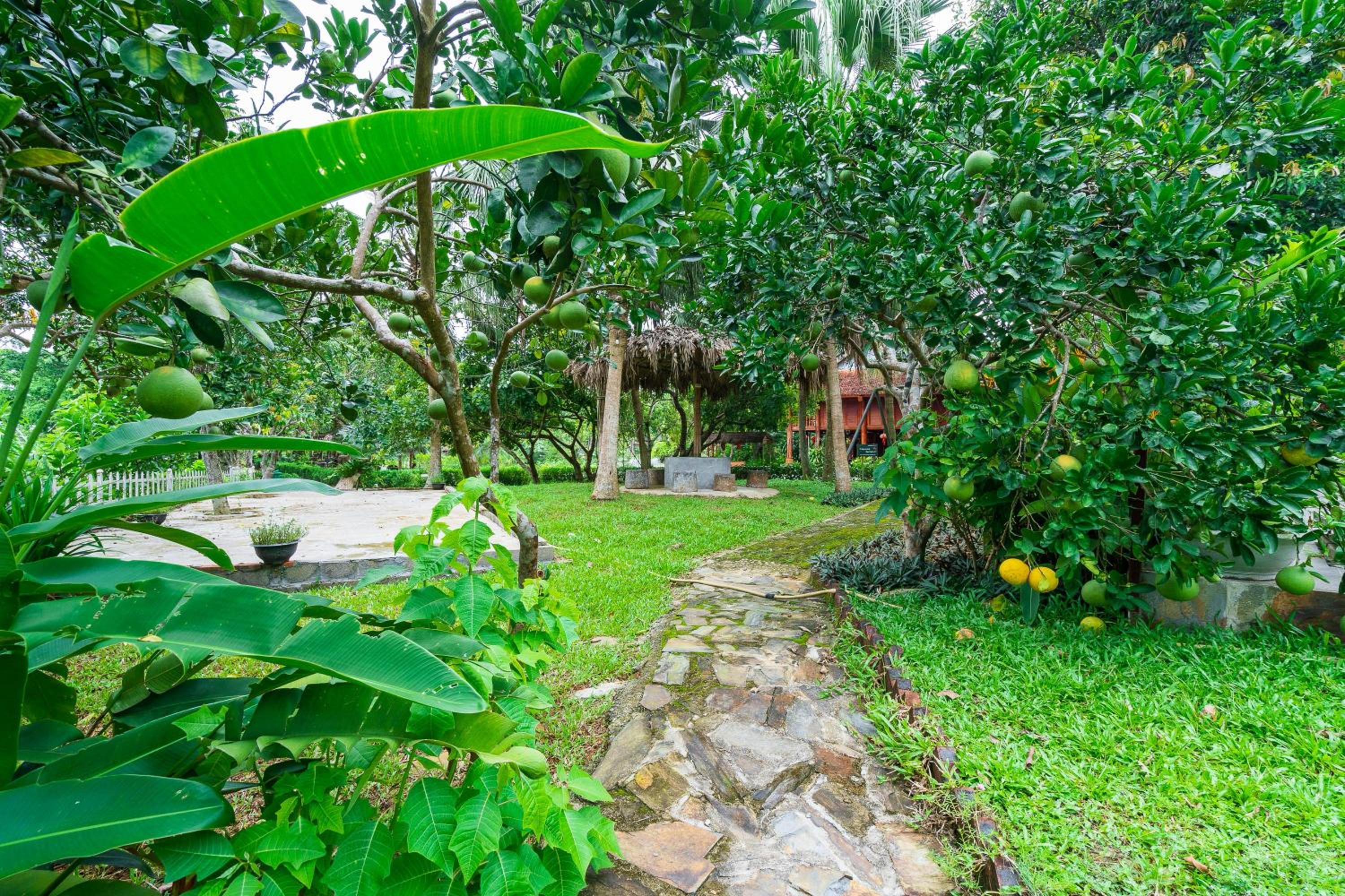 Lumiere Family Retreat & Villas Ba Vi Hà Noi