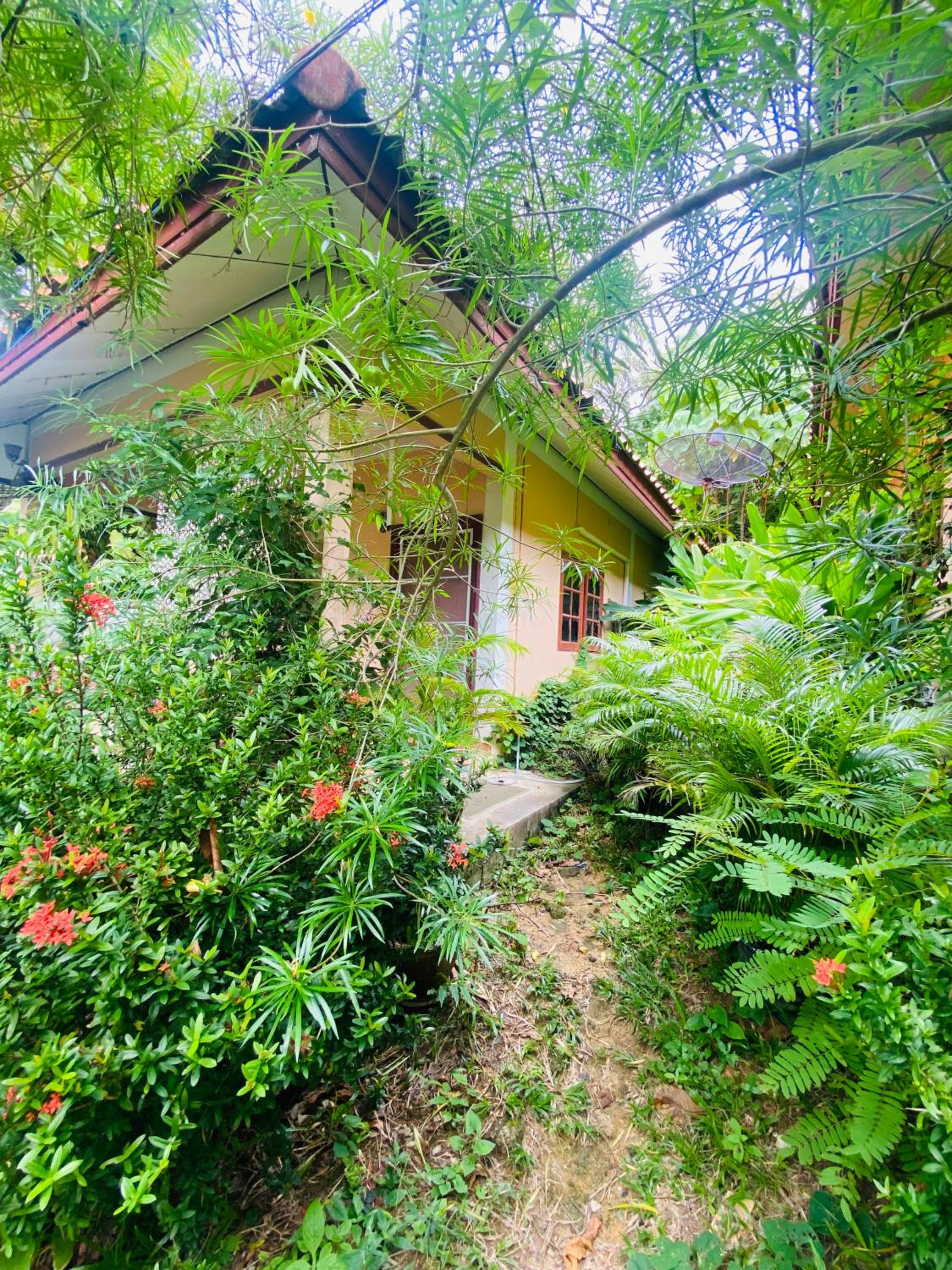Mandala bungalow at Ya Nui beach