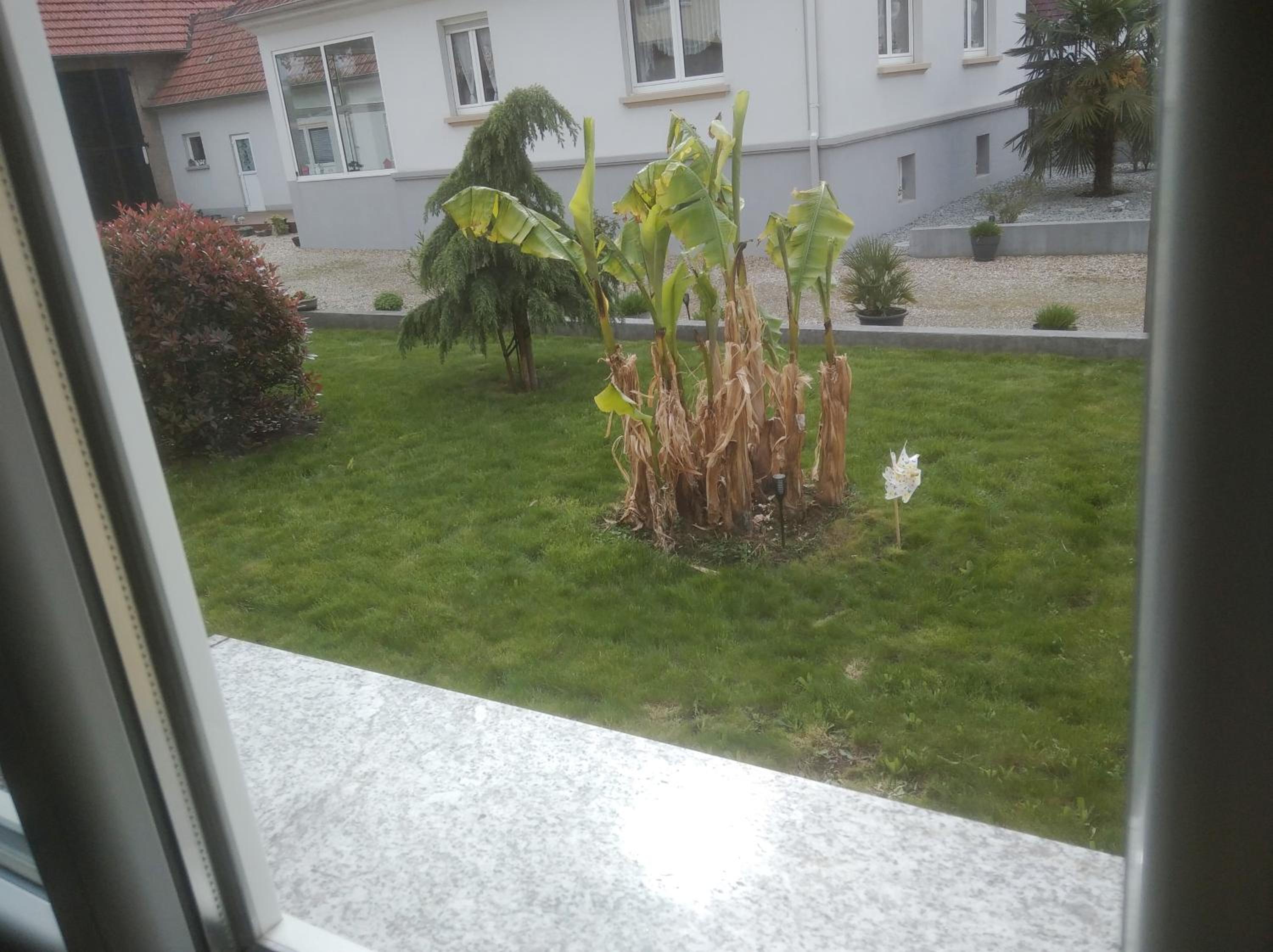 Appartement agréable et atypique, wifi, terrasse, jardin