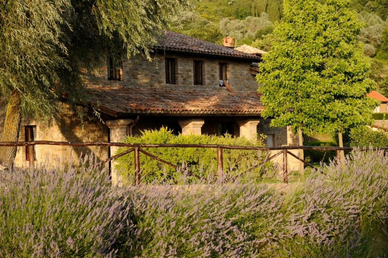 Agriturismo Le Case view 4