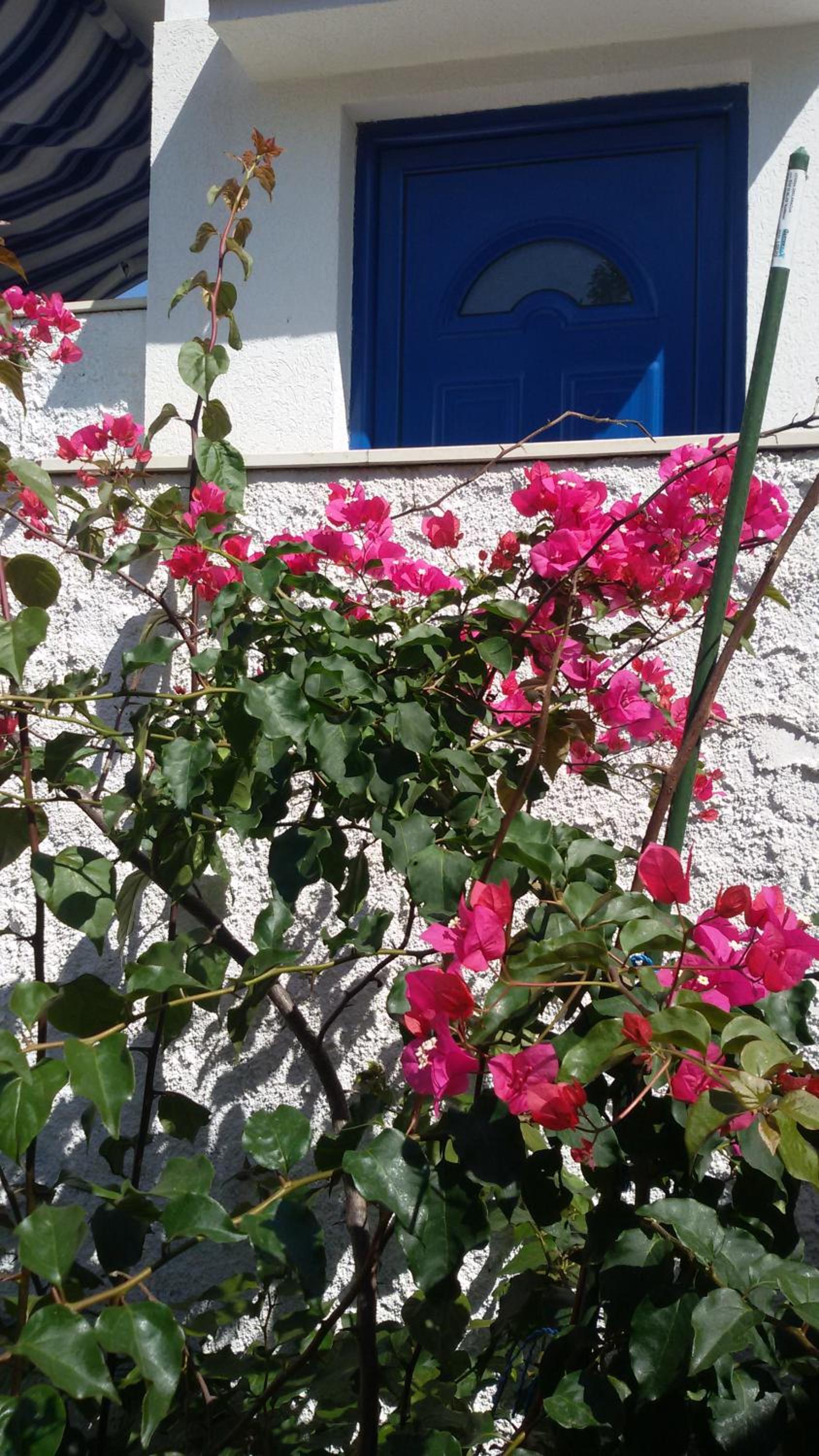 Photo 33