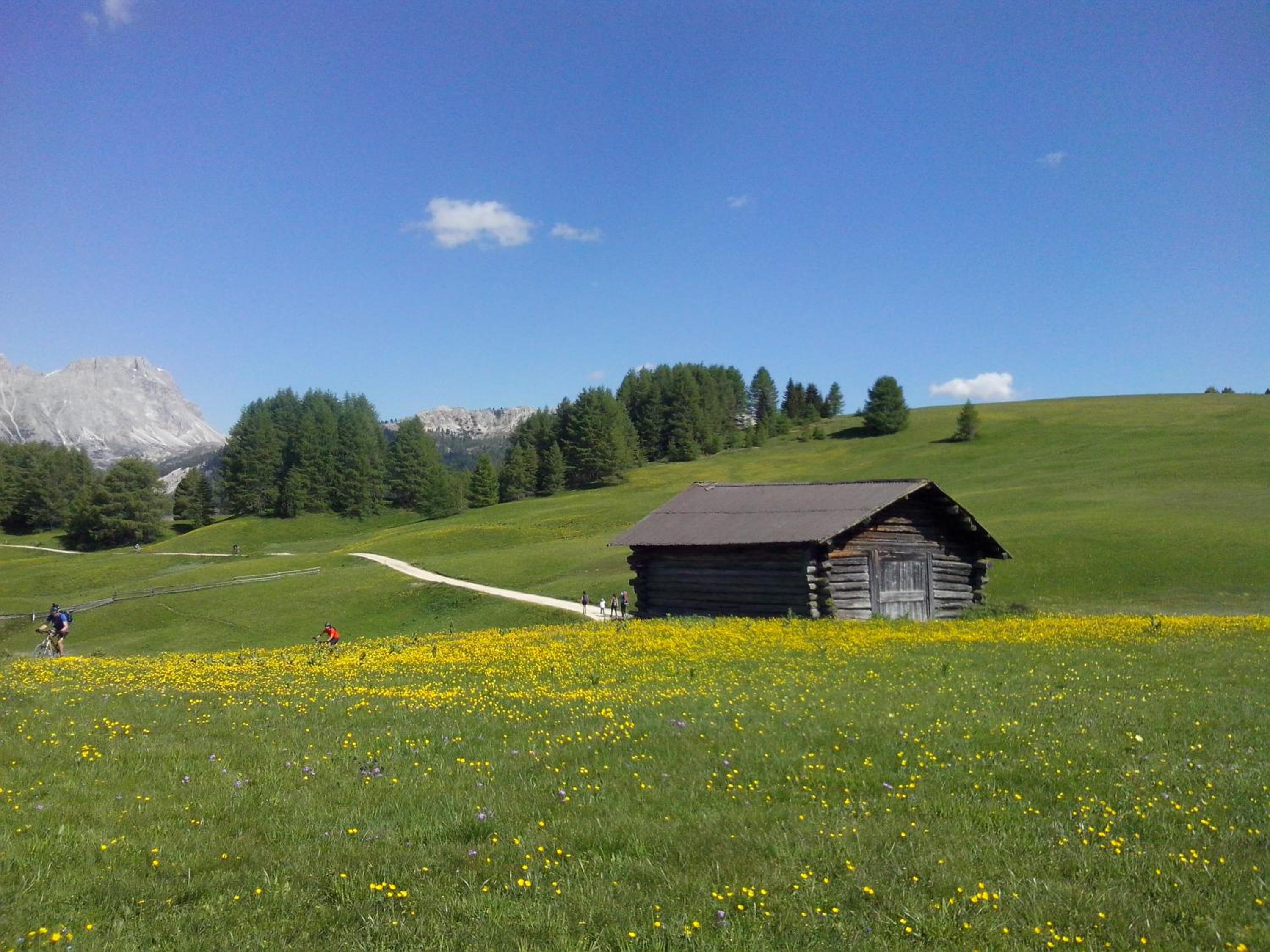 Photo 16